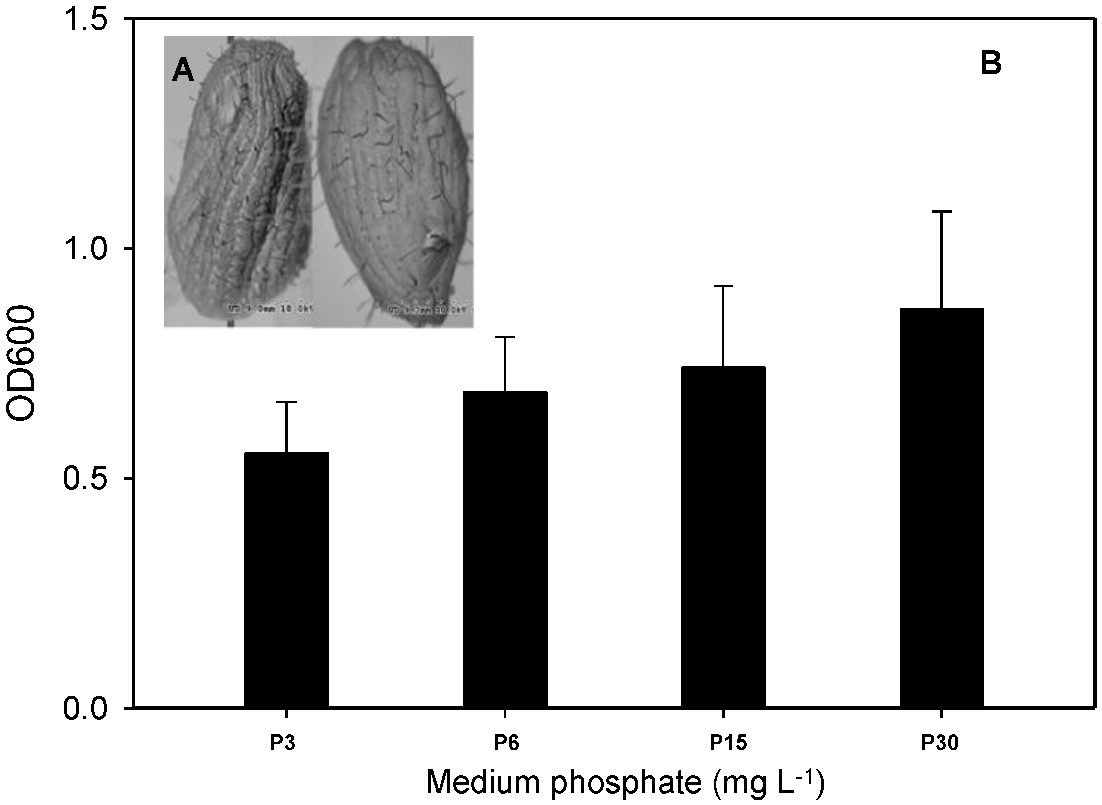 Ijerph 14 00188 g002