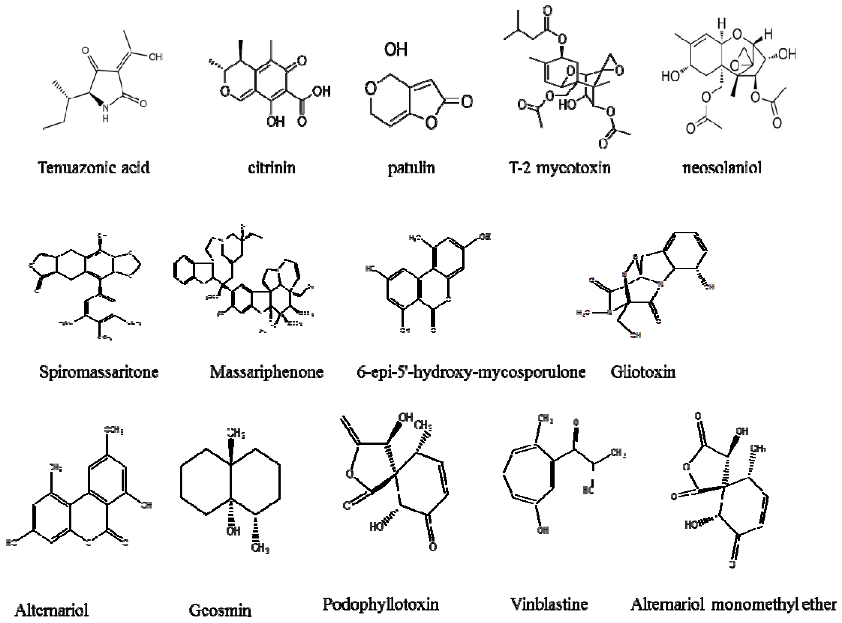 Ijerph 14 00546 g001
