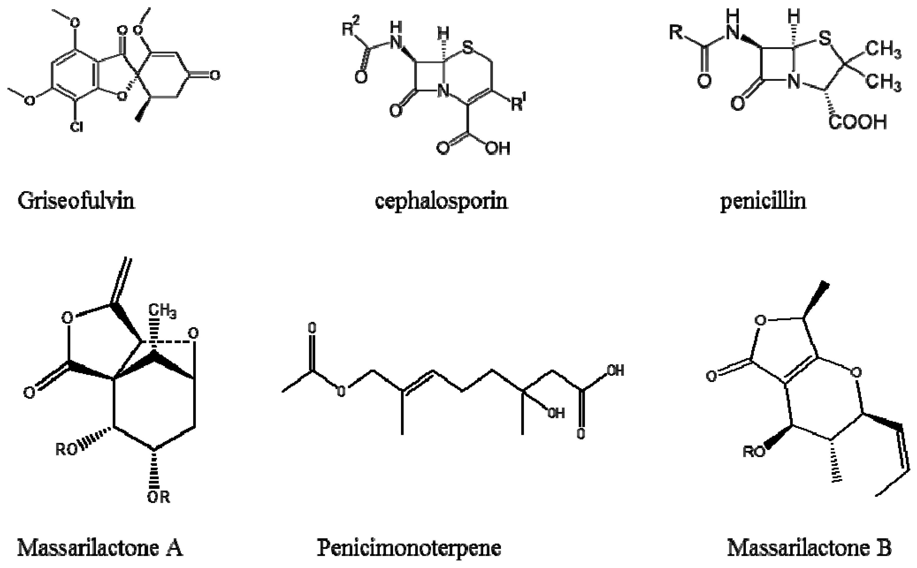 Ijerph 14 00546 g002