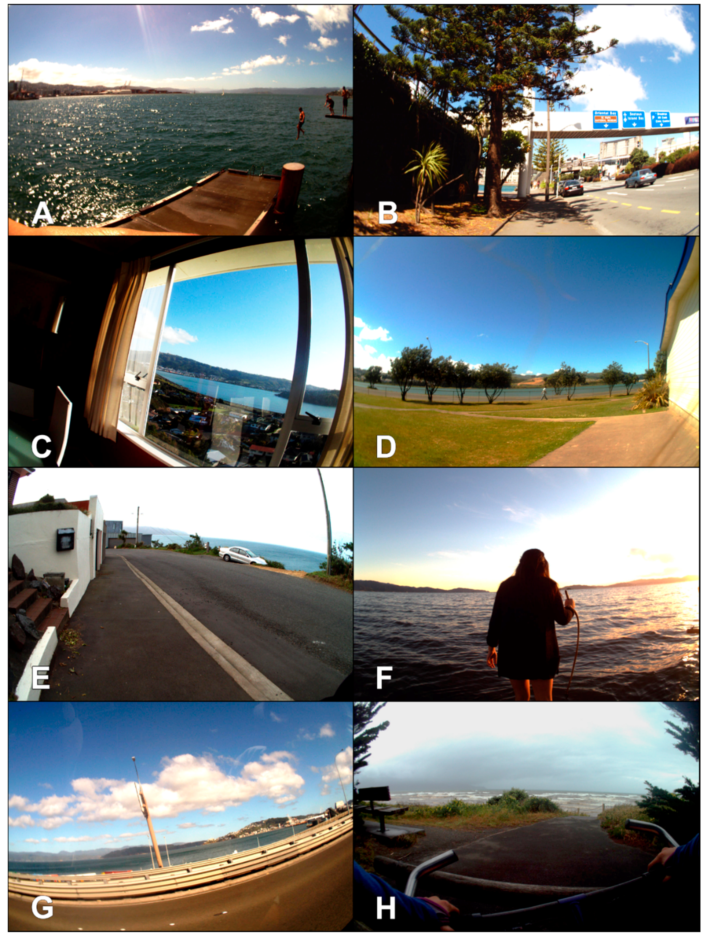 Ijerph 14 00563 g002