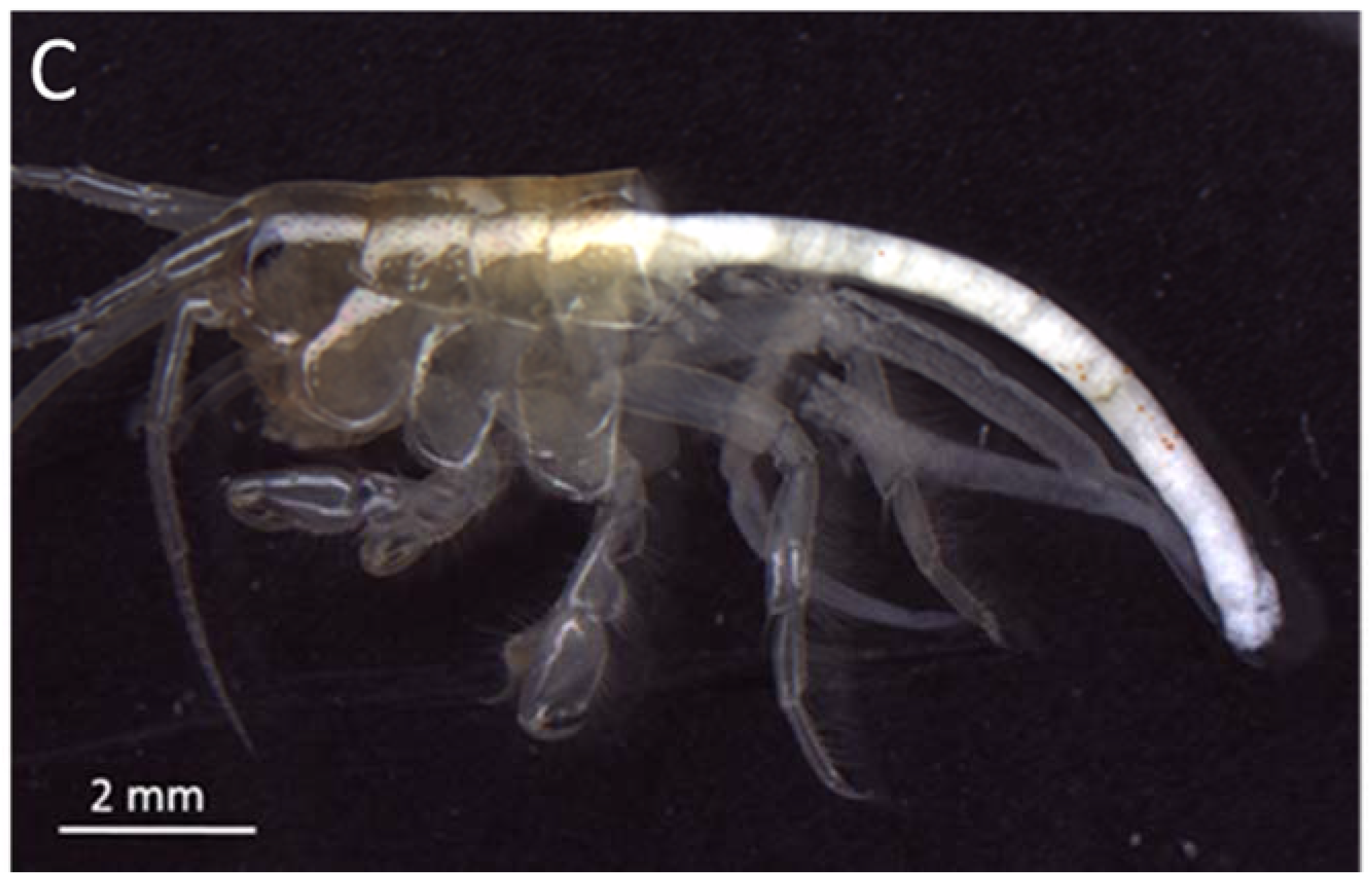 Ijerph 14 00774 g004b