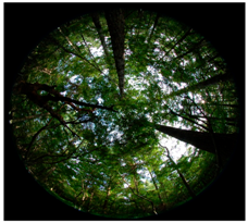 Ijerph 14 00800 i001