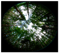 Ijerph 14 00800 i002