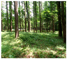 Ijerph 14 00800 i004