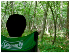 Ijerph 14 00800 i005