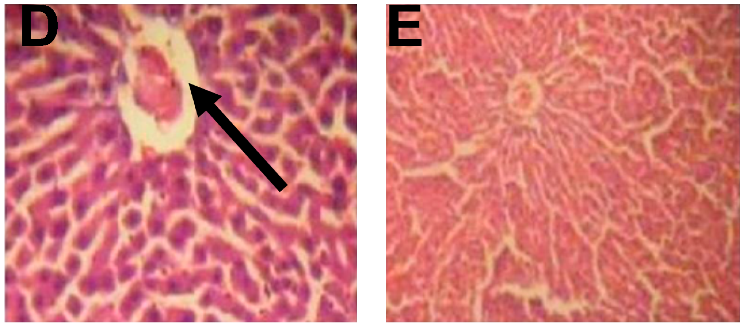 Ijerph 14 00955 g001b