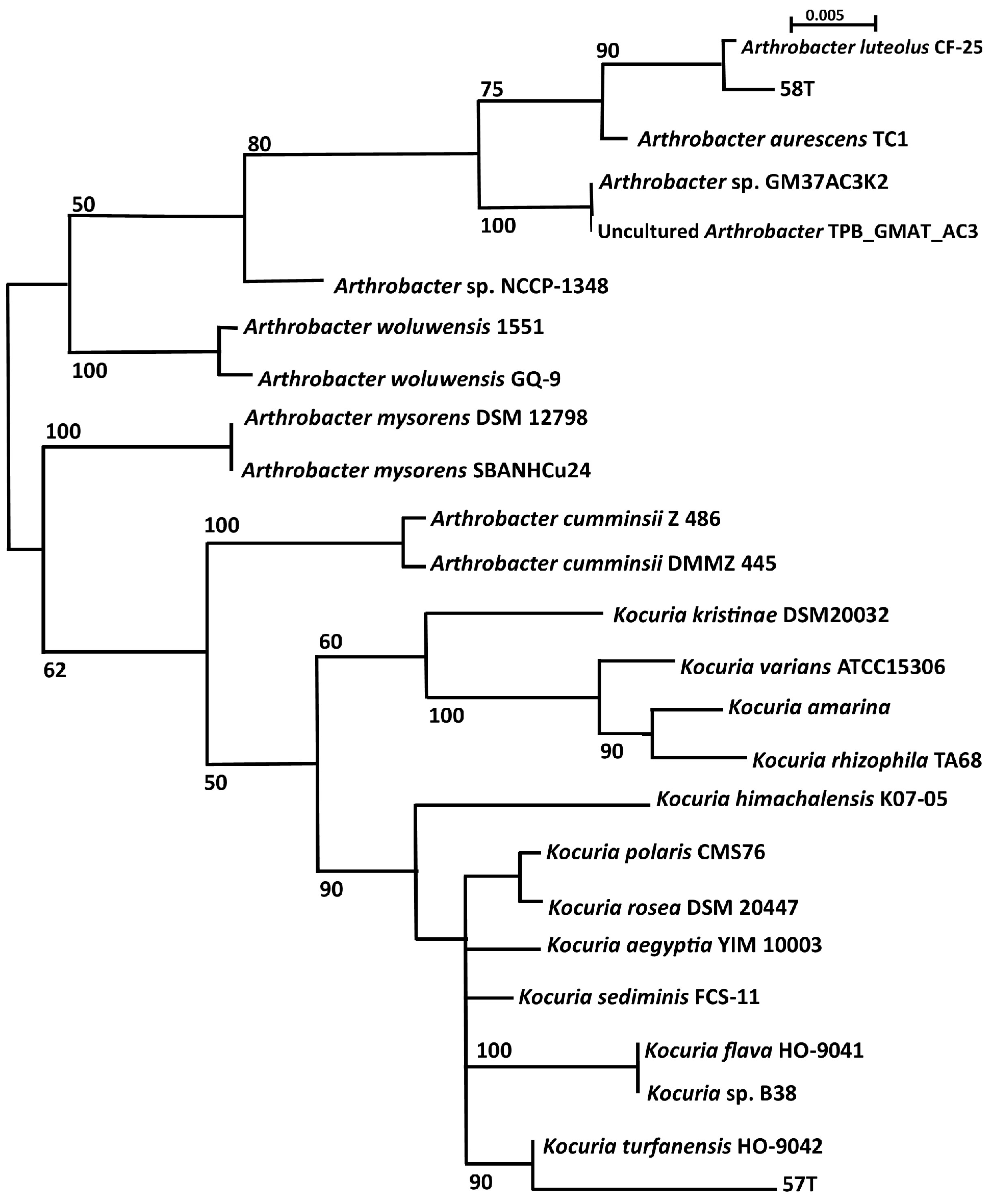 Ijerph 14 01070 g003