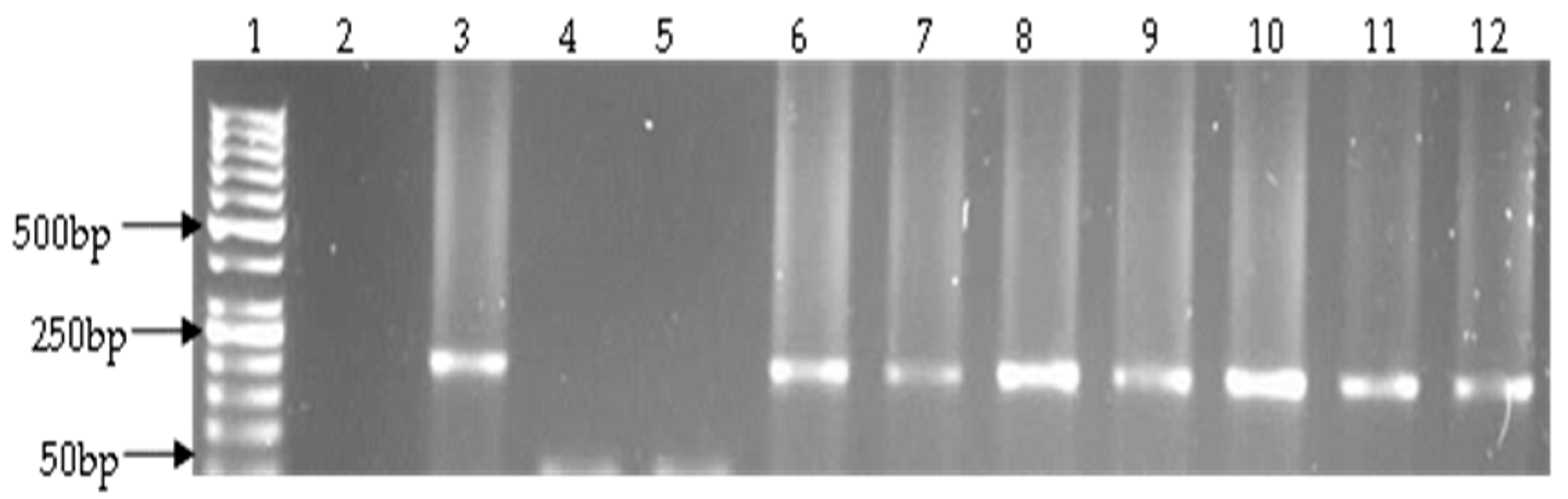 Ijerph 14 01111 g003 Ijerph 14 01111 g003