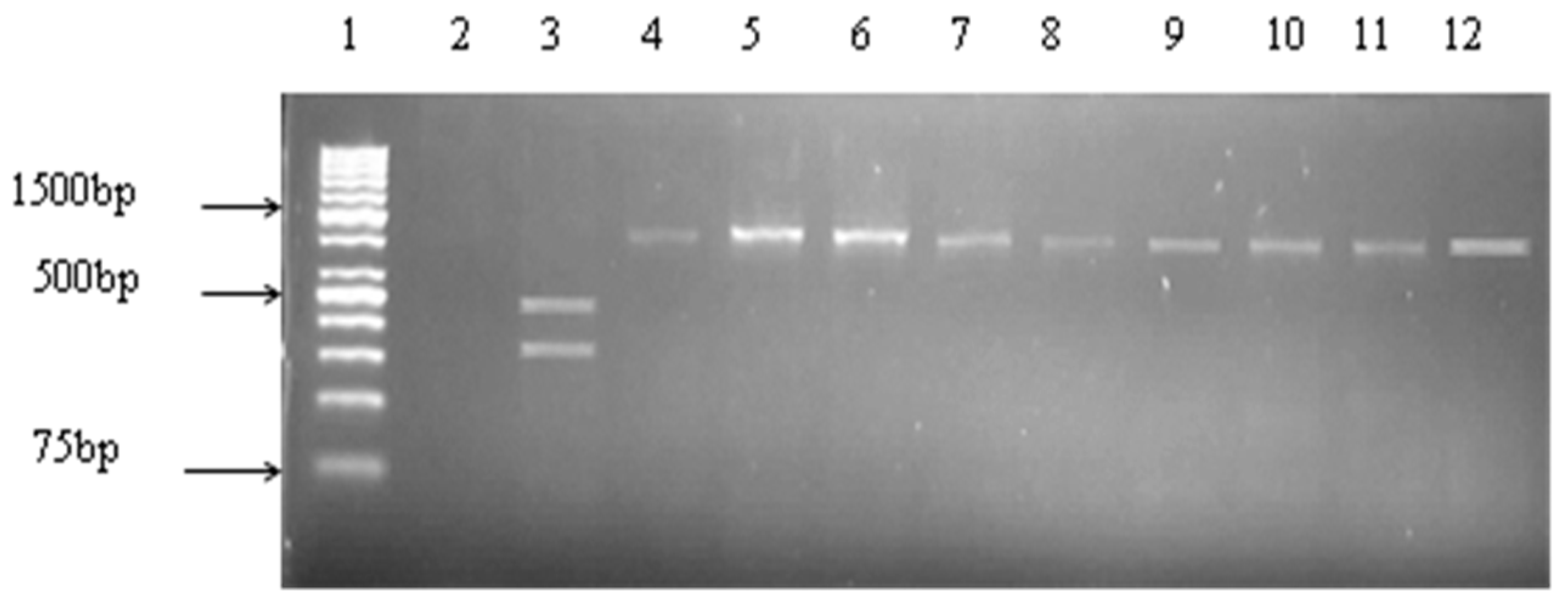 Ijerph 14 01111 g005 Ijerph 14 01111 g005