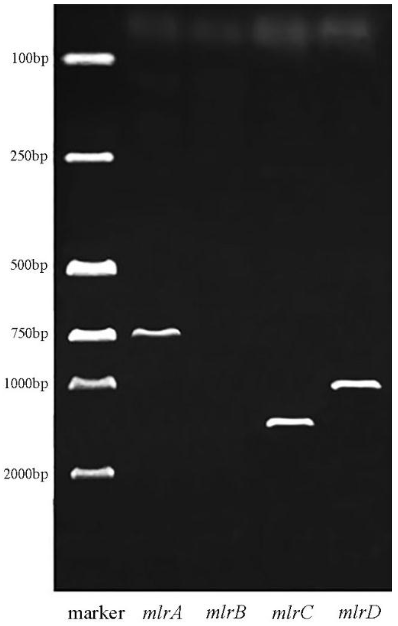 Ijerph 14 01187 g003