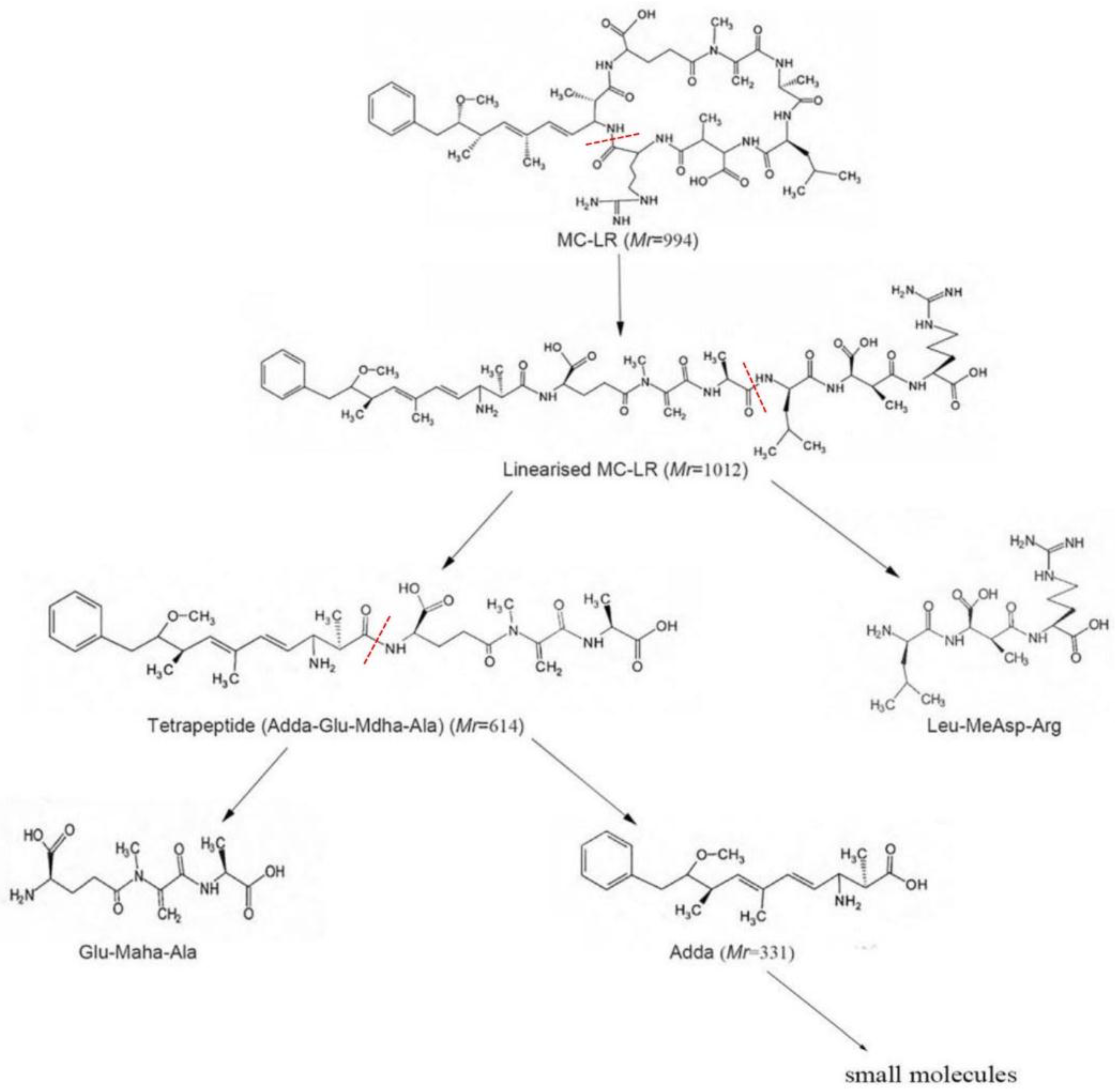 Ijerph 14 01187 g008