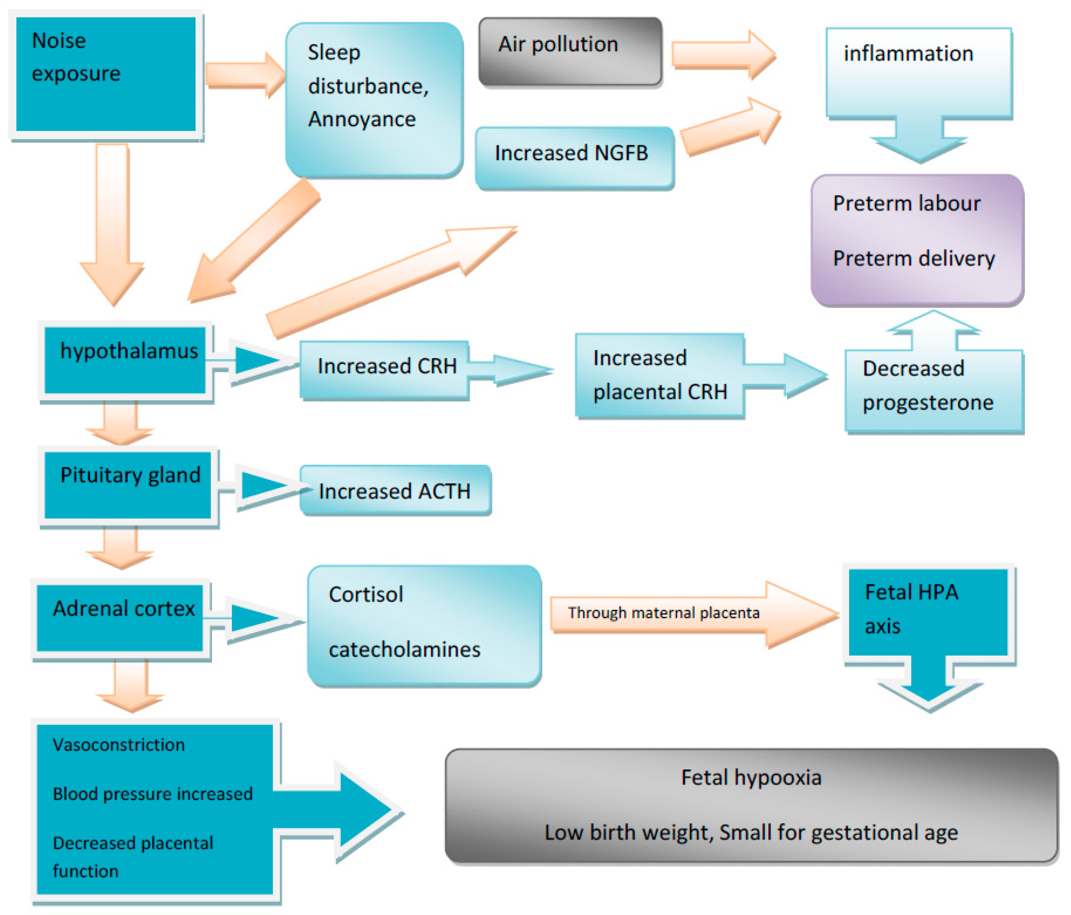 Ijerph 14 01252 g002