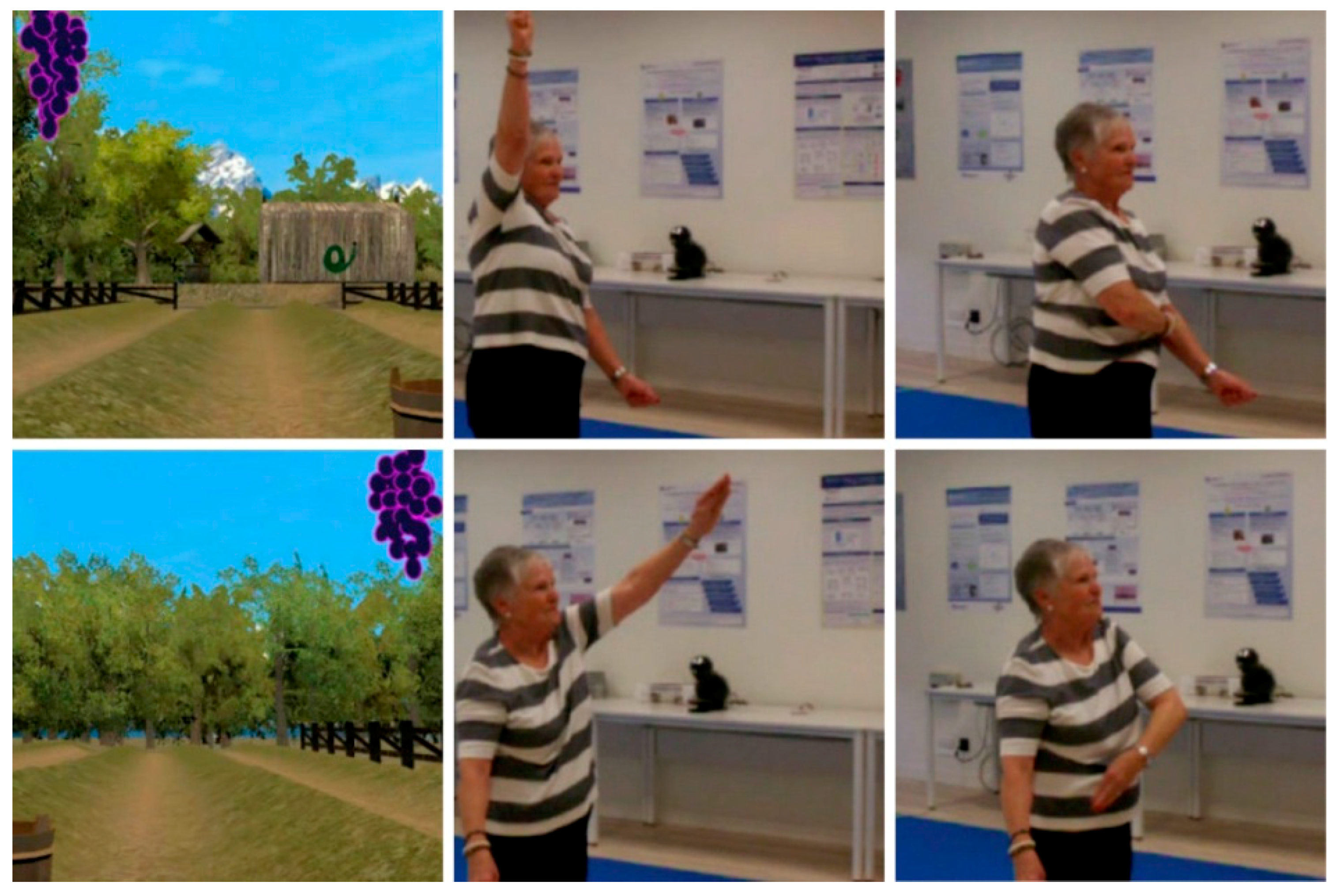 Ijerph 14 01439 g009