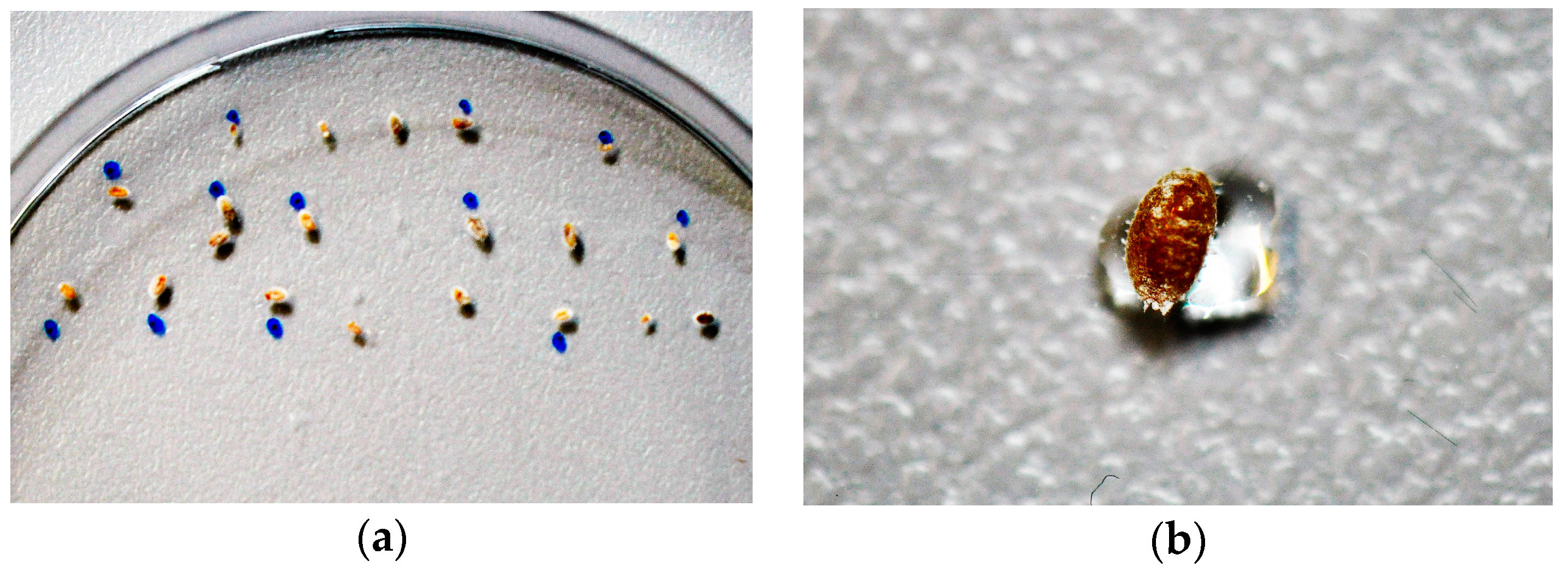 Ijerph 14 01460 g002