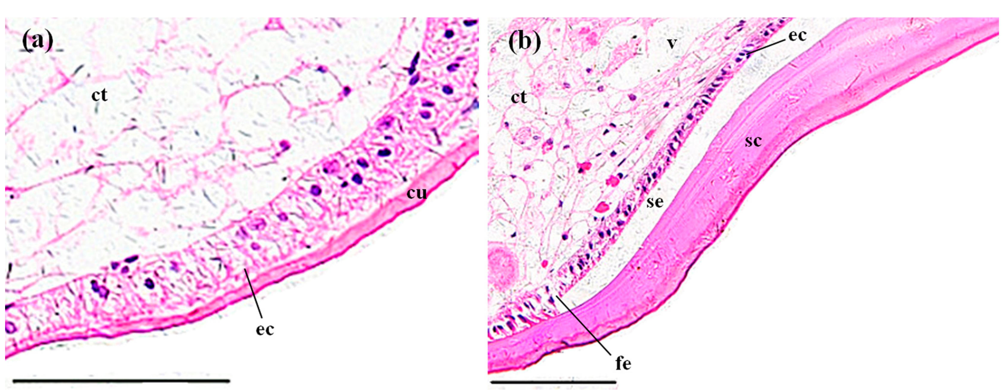 Ijerph 14 01466 g005