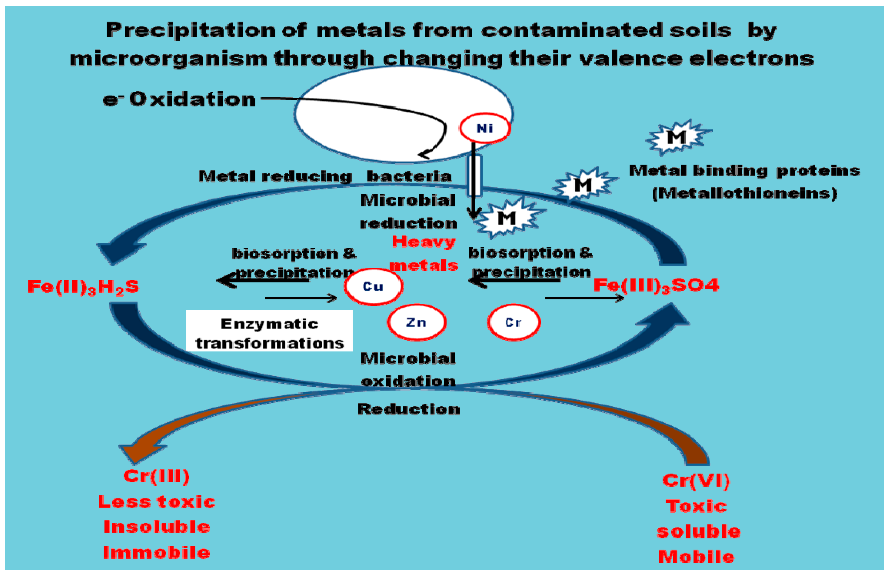 Ijerph 14 01504 g001