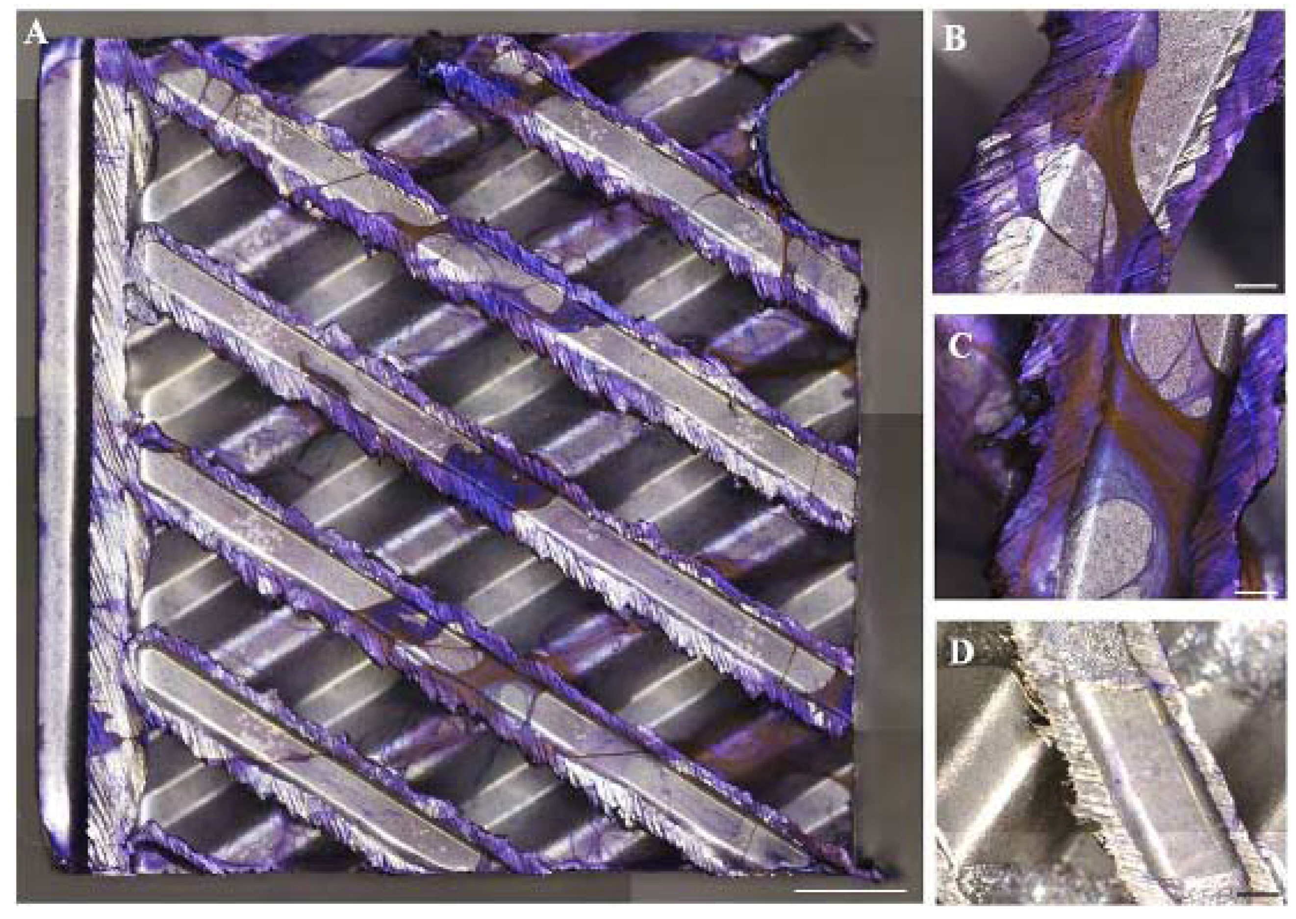 Ijerph 14 01587 g001