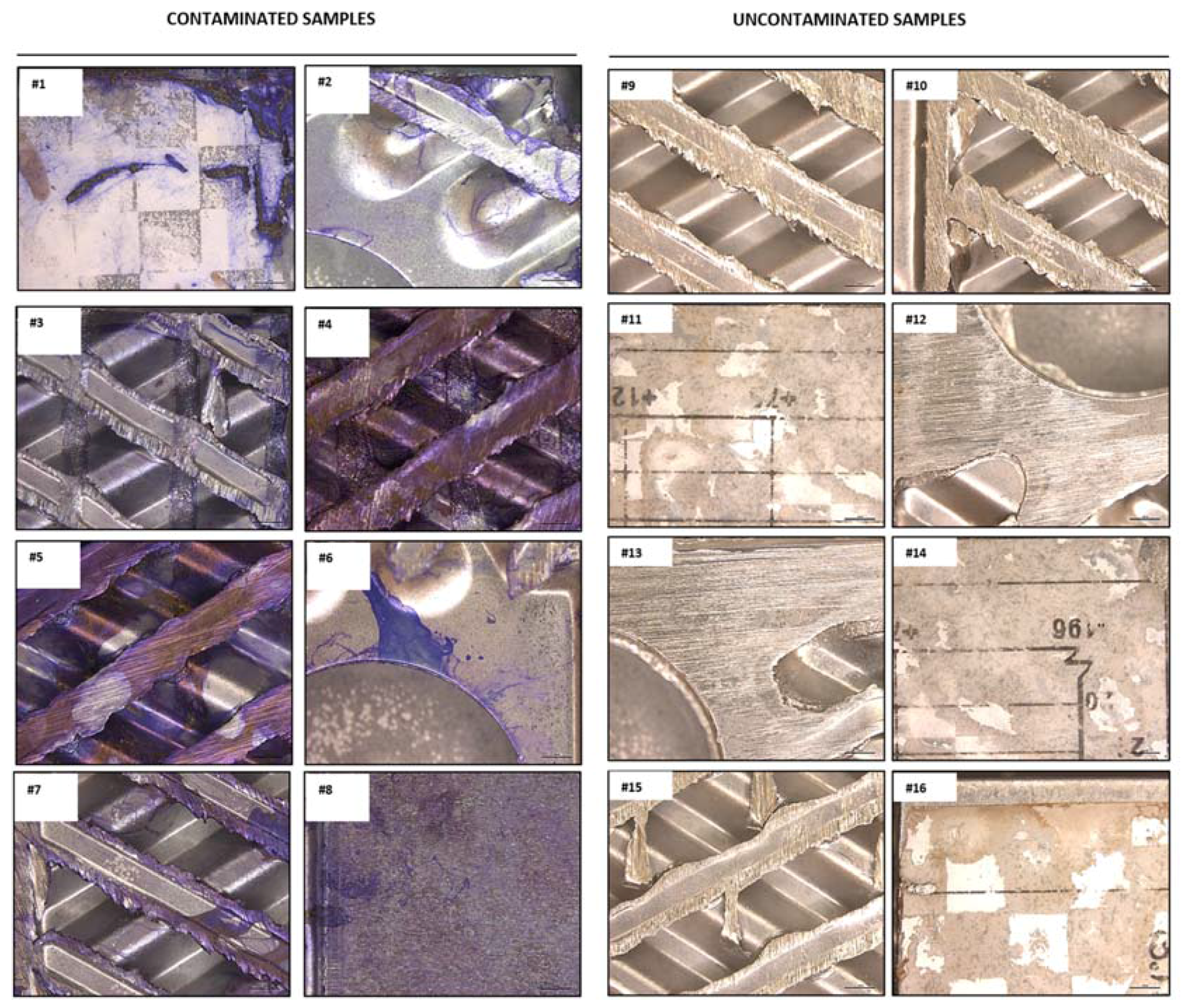 Ijerph 14 01587 g002