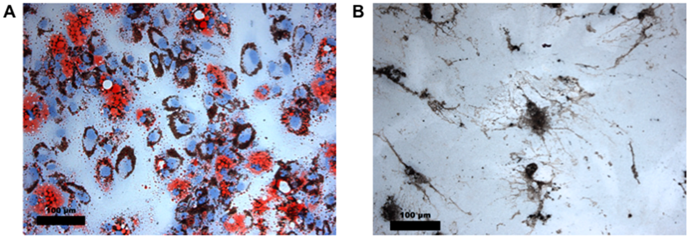 Ijerph 14 01590 g004