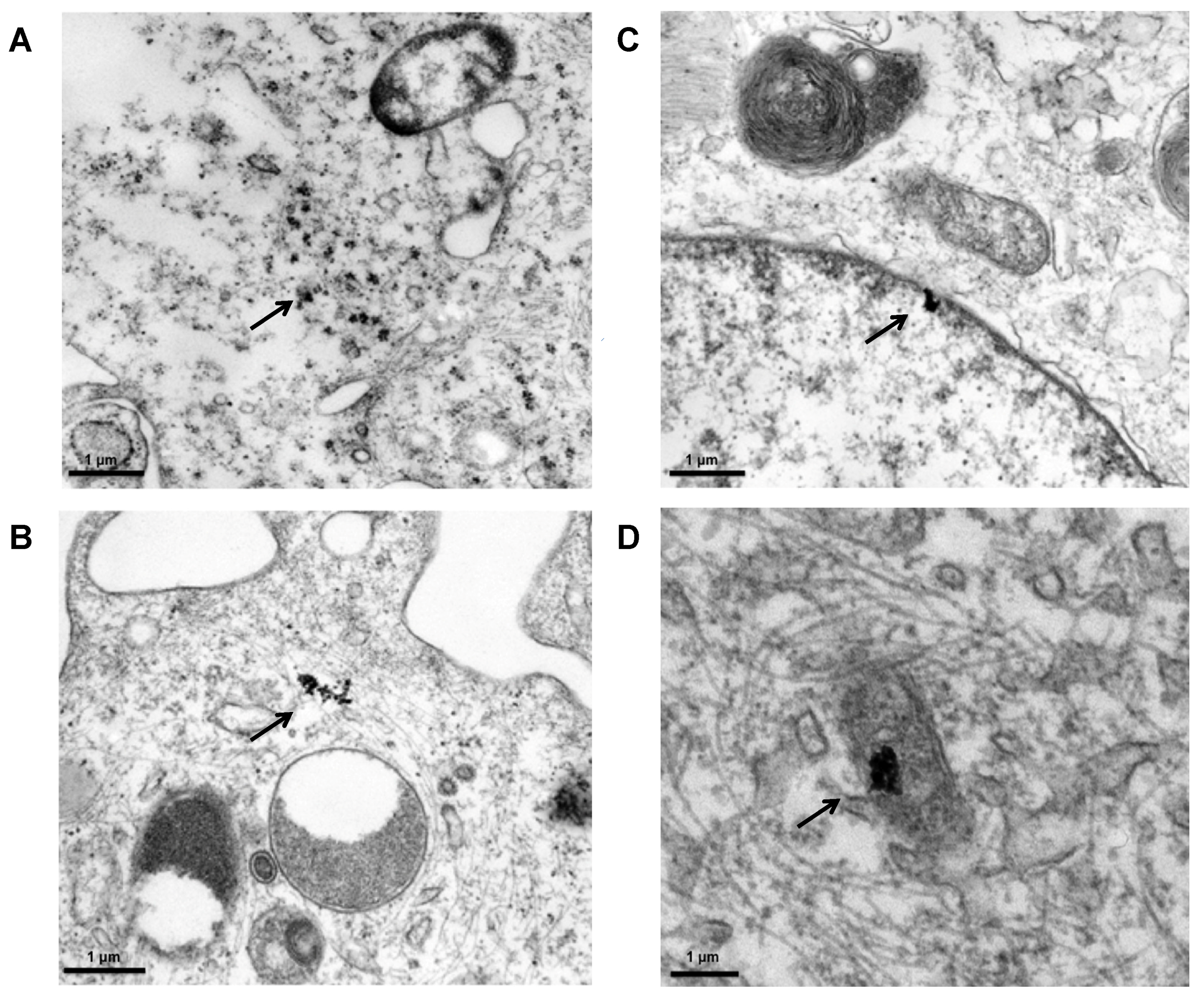 Ijerph 14 01590 g007