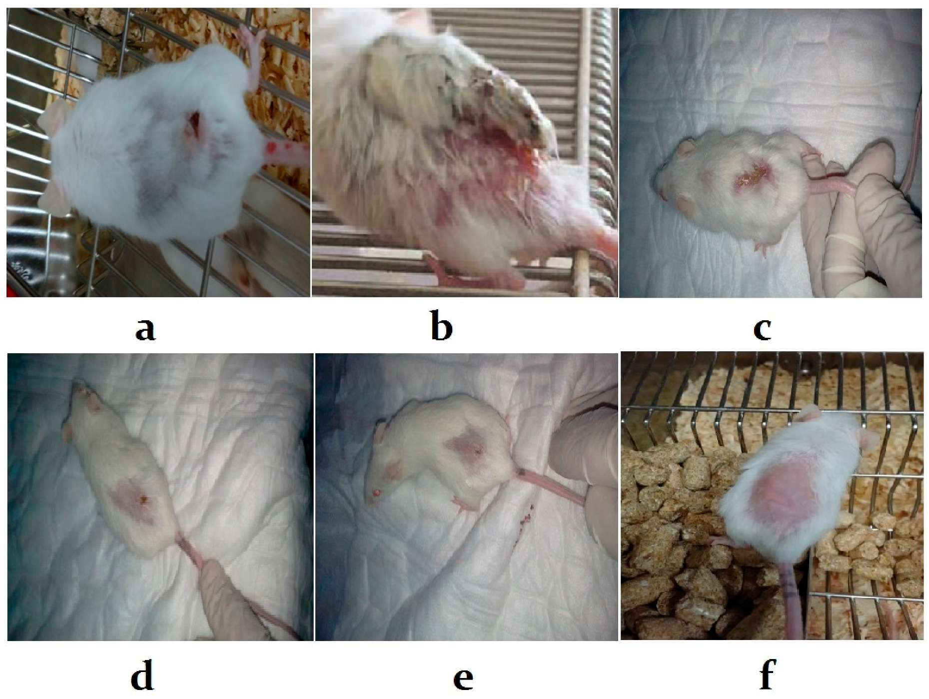 Ijerph 14 01592 g002