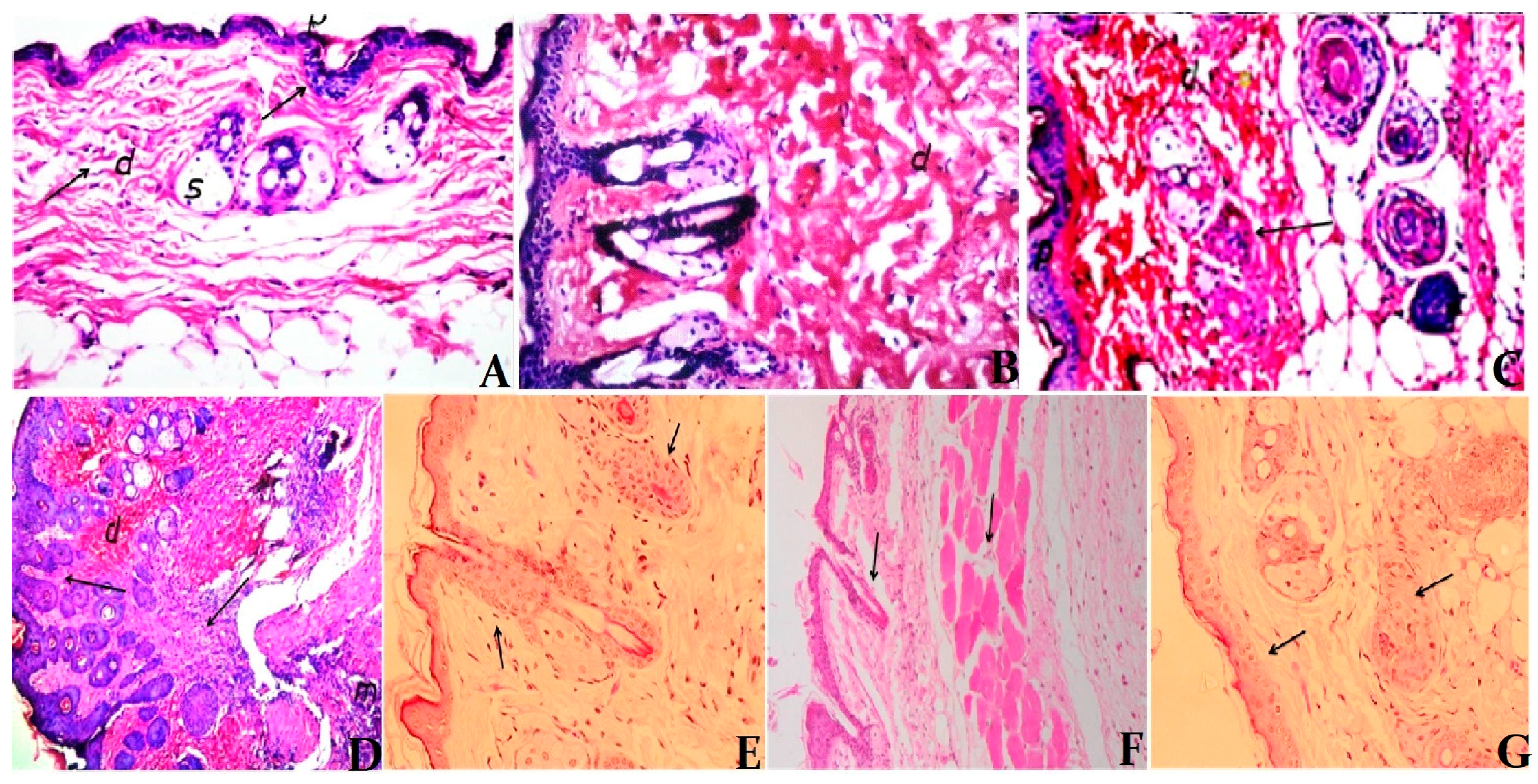 Ijerph 14 01592 g008