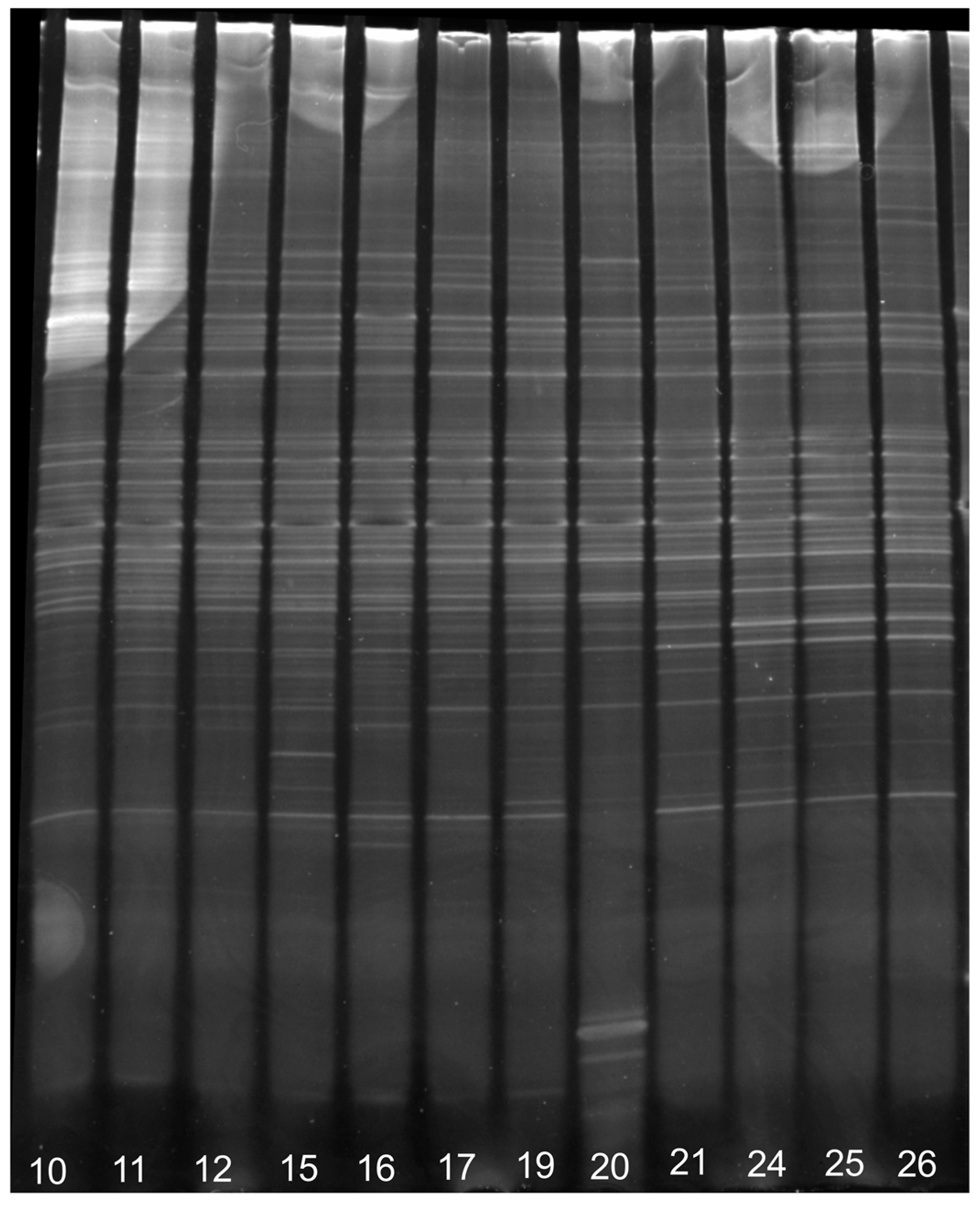 Ijerph 15 00041 g006