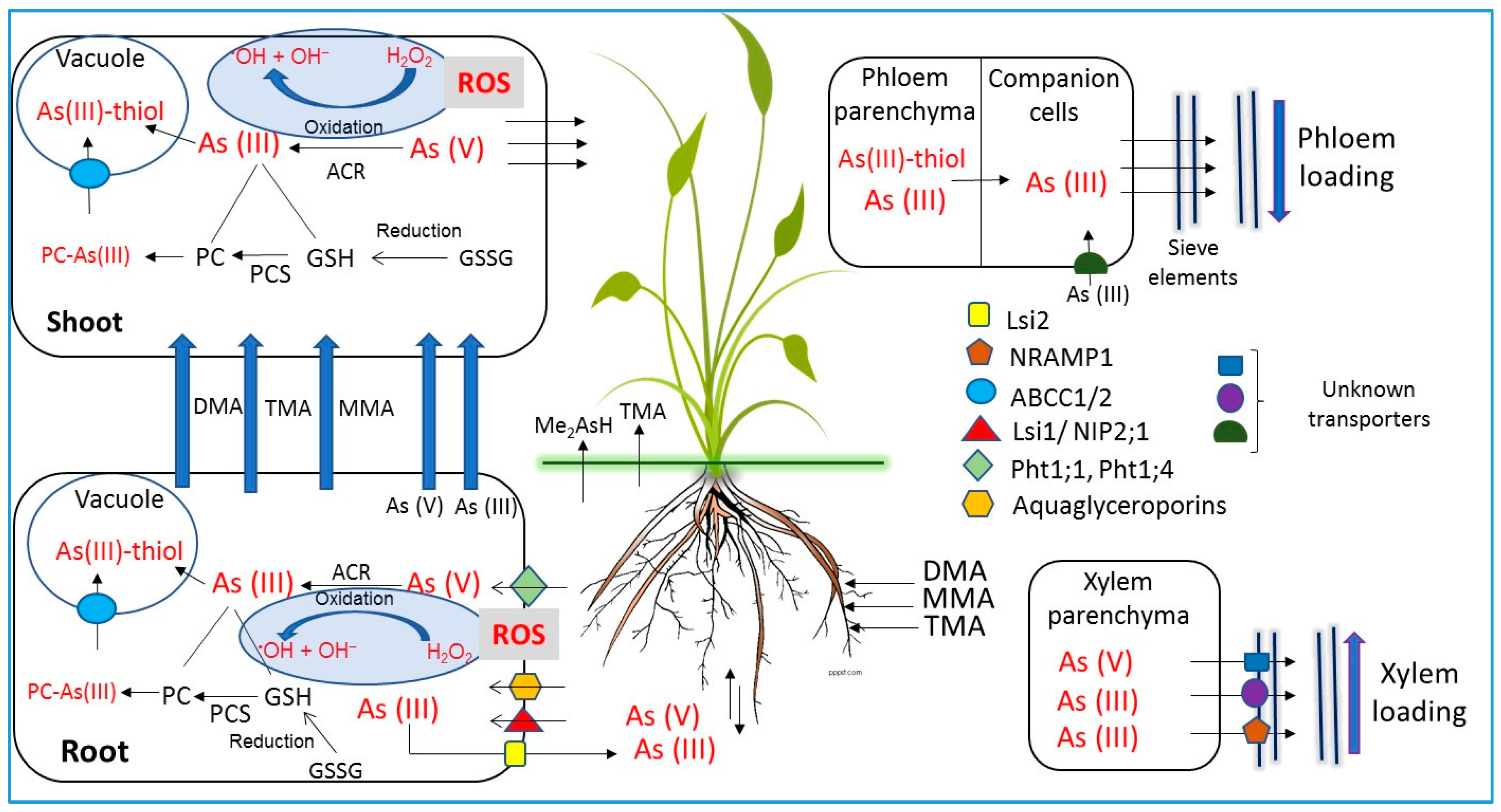 Ijerph 15 00059 g001 Ijerph 15 00059 g001