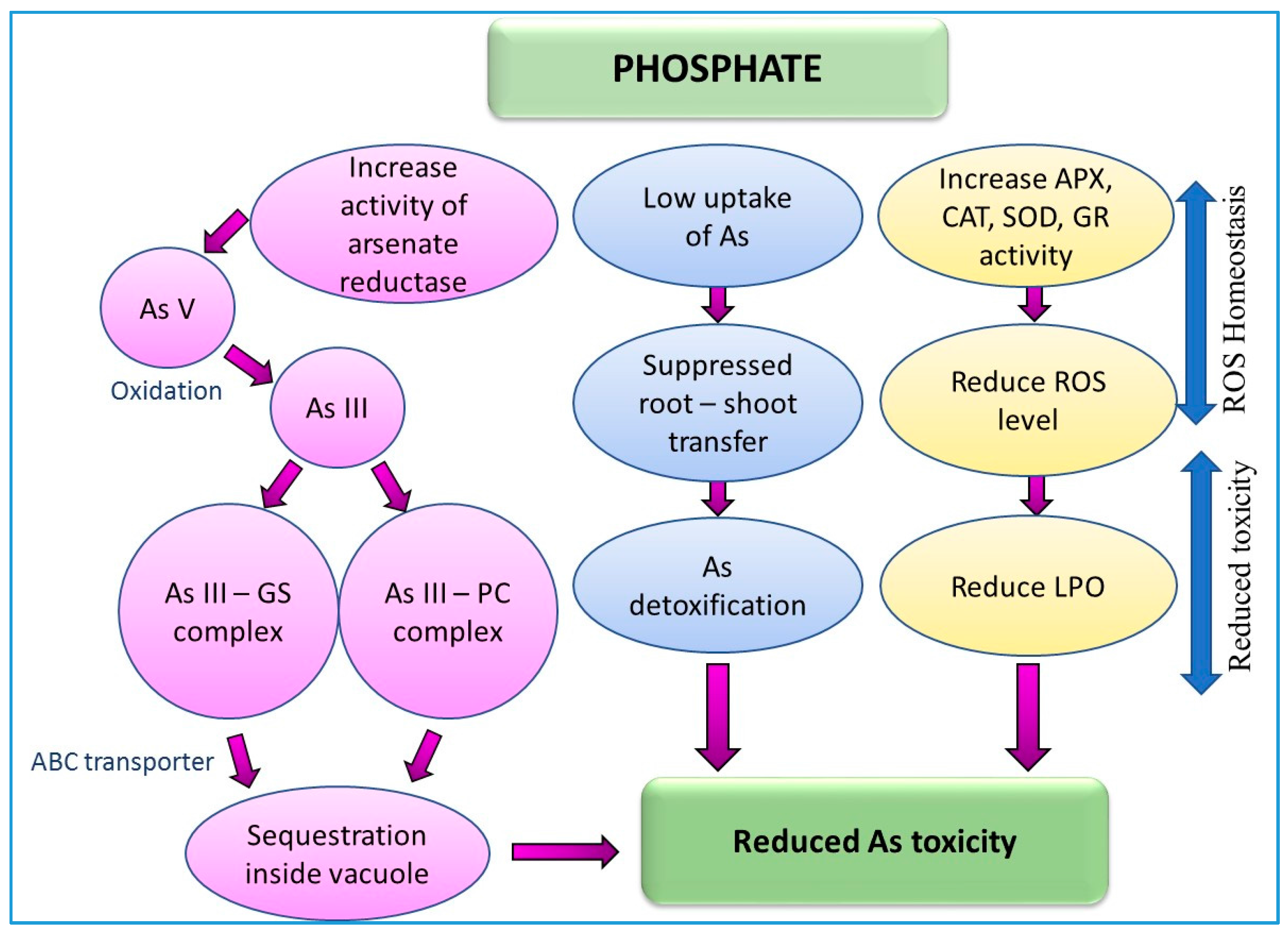 Ijerph 15 00059 g006 Ijerph 15 00059 g006