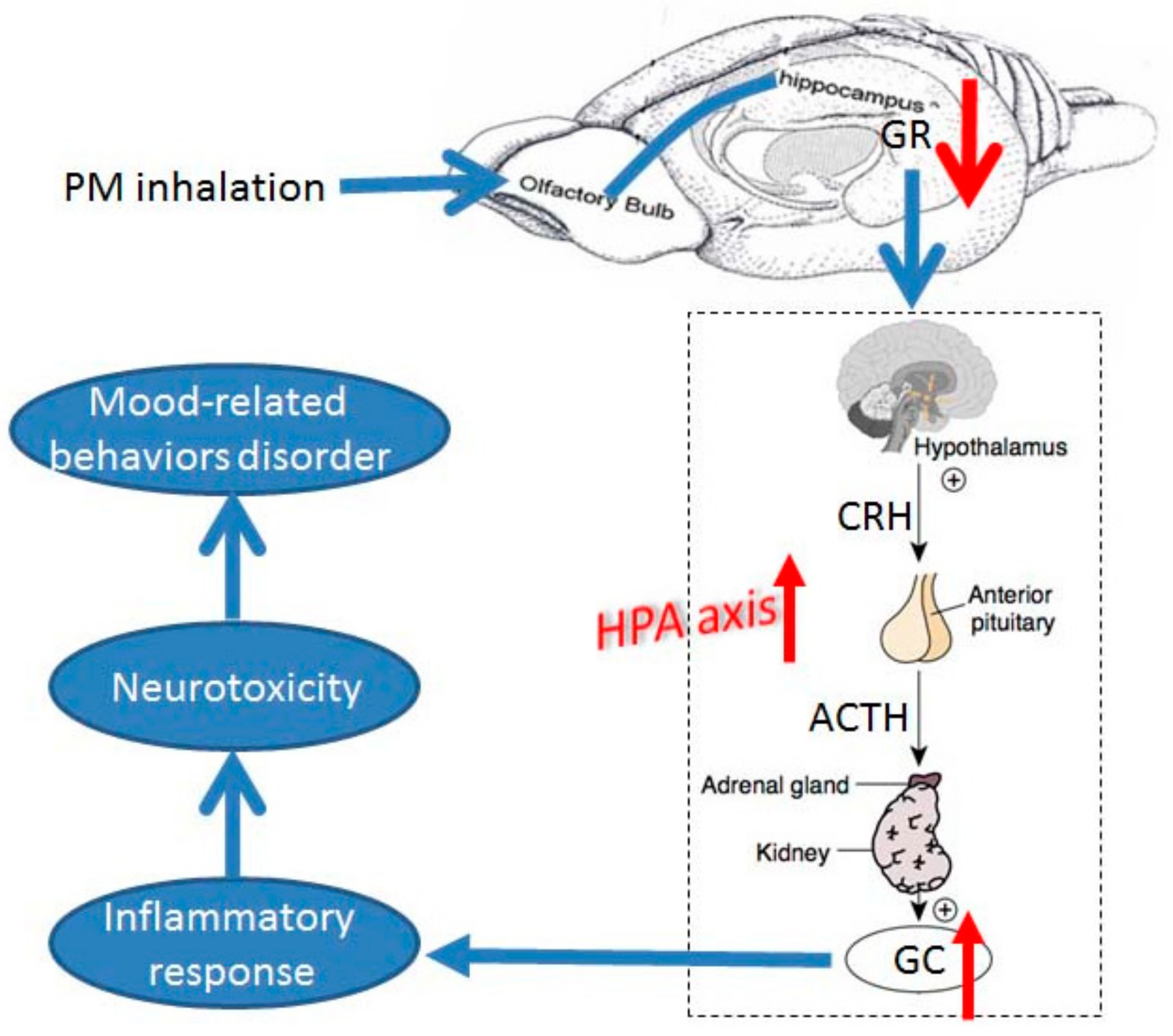 Ijerph 15 00160 g006