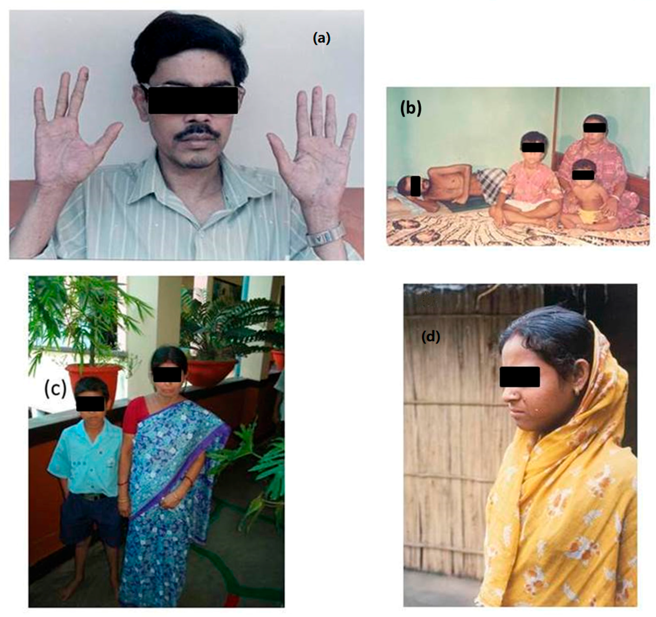 Ijerph 15 00180 g006