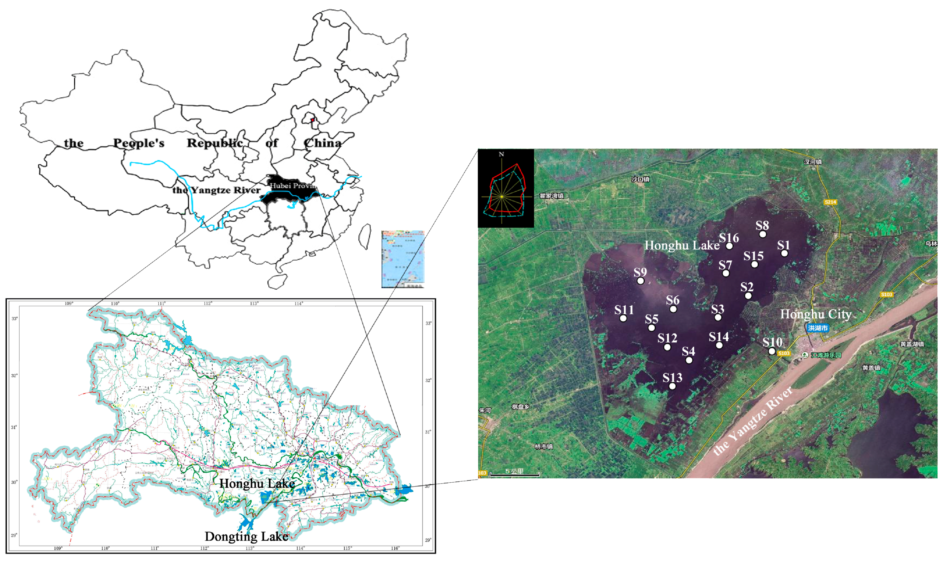 Ijerph 15 00207 g001