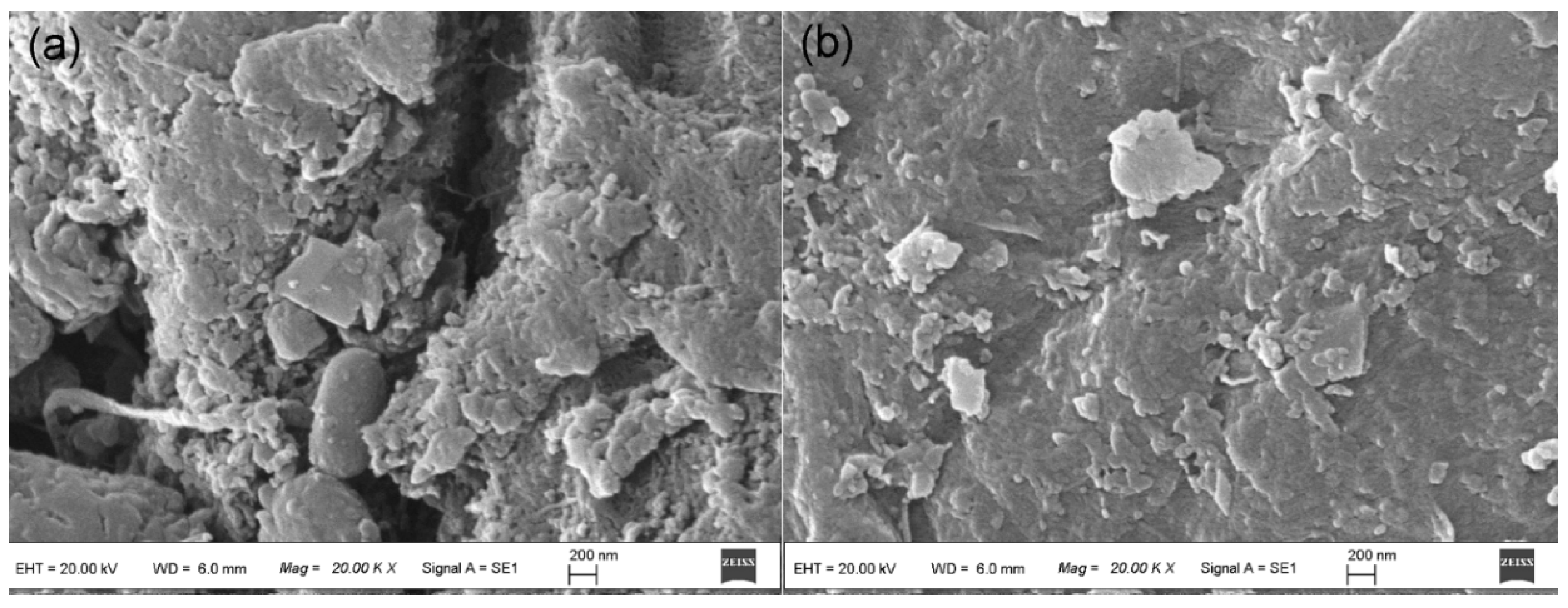 Ijerph 15 00239 g001