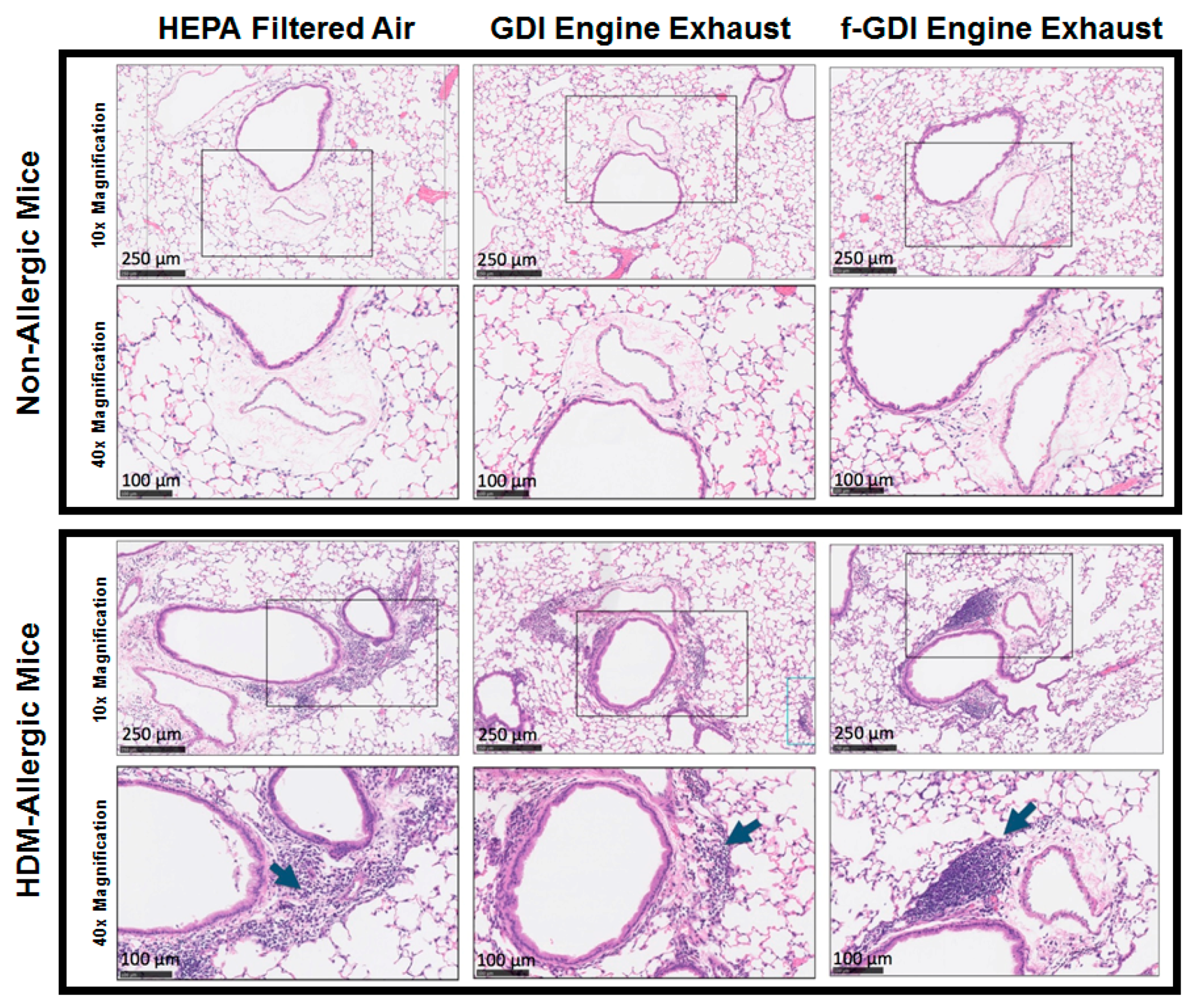 Ijerph 15 00429 g003