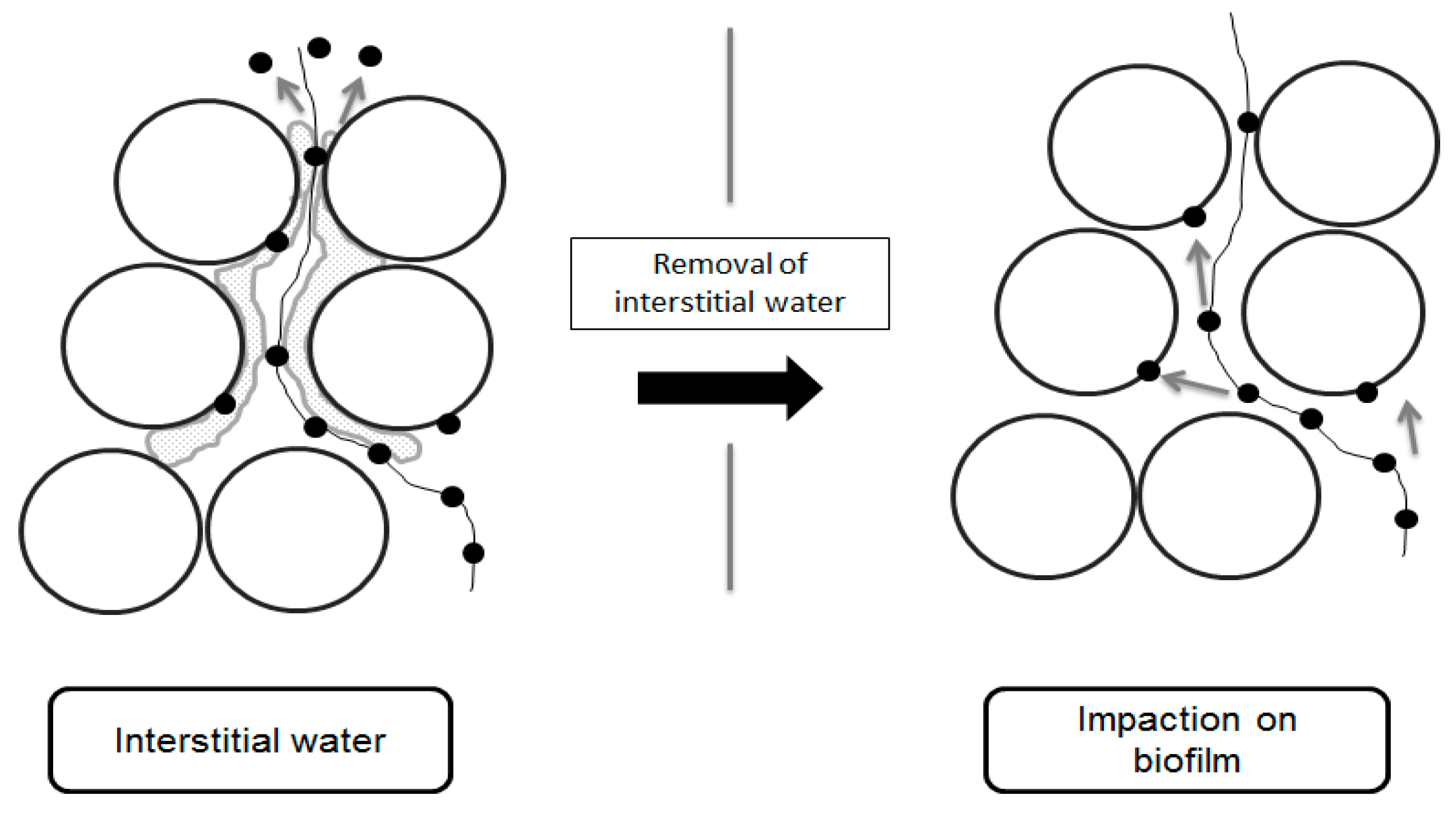 Ijerph 15 00551 g005