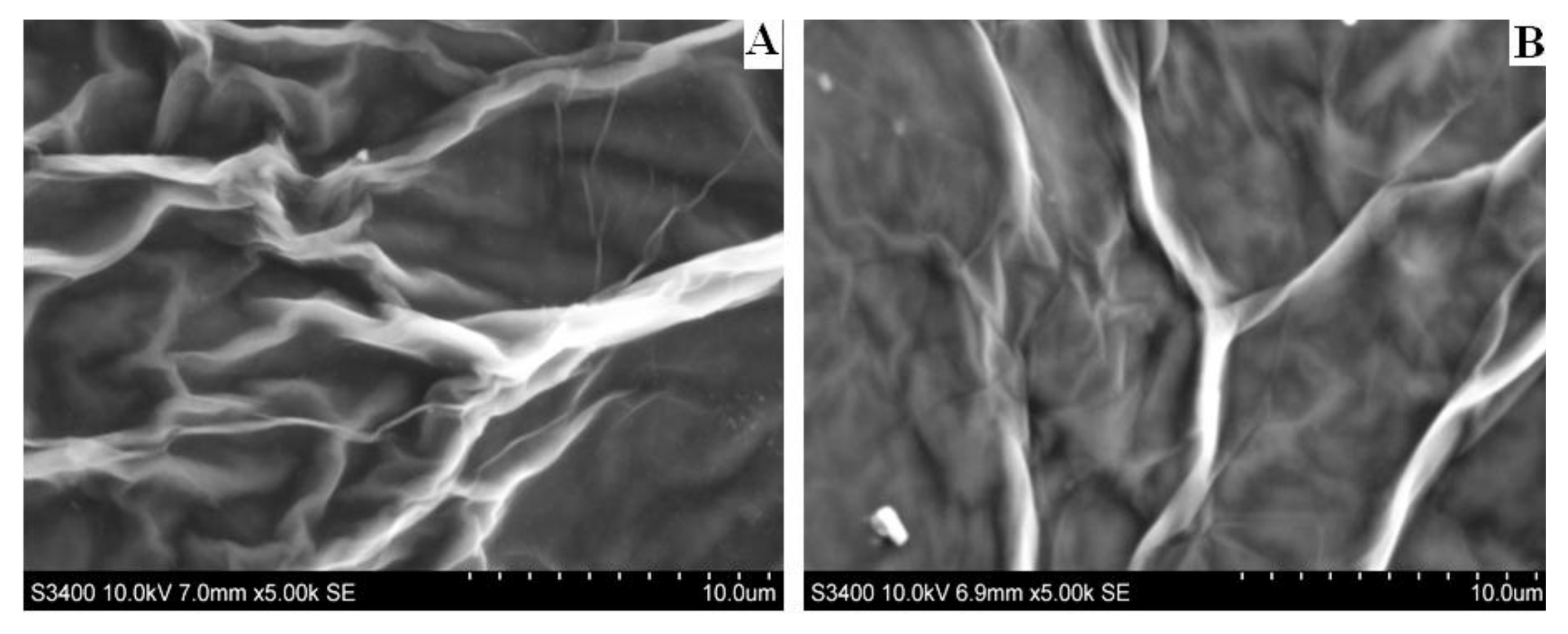 Ijerph 15 00653 g003