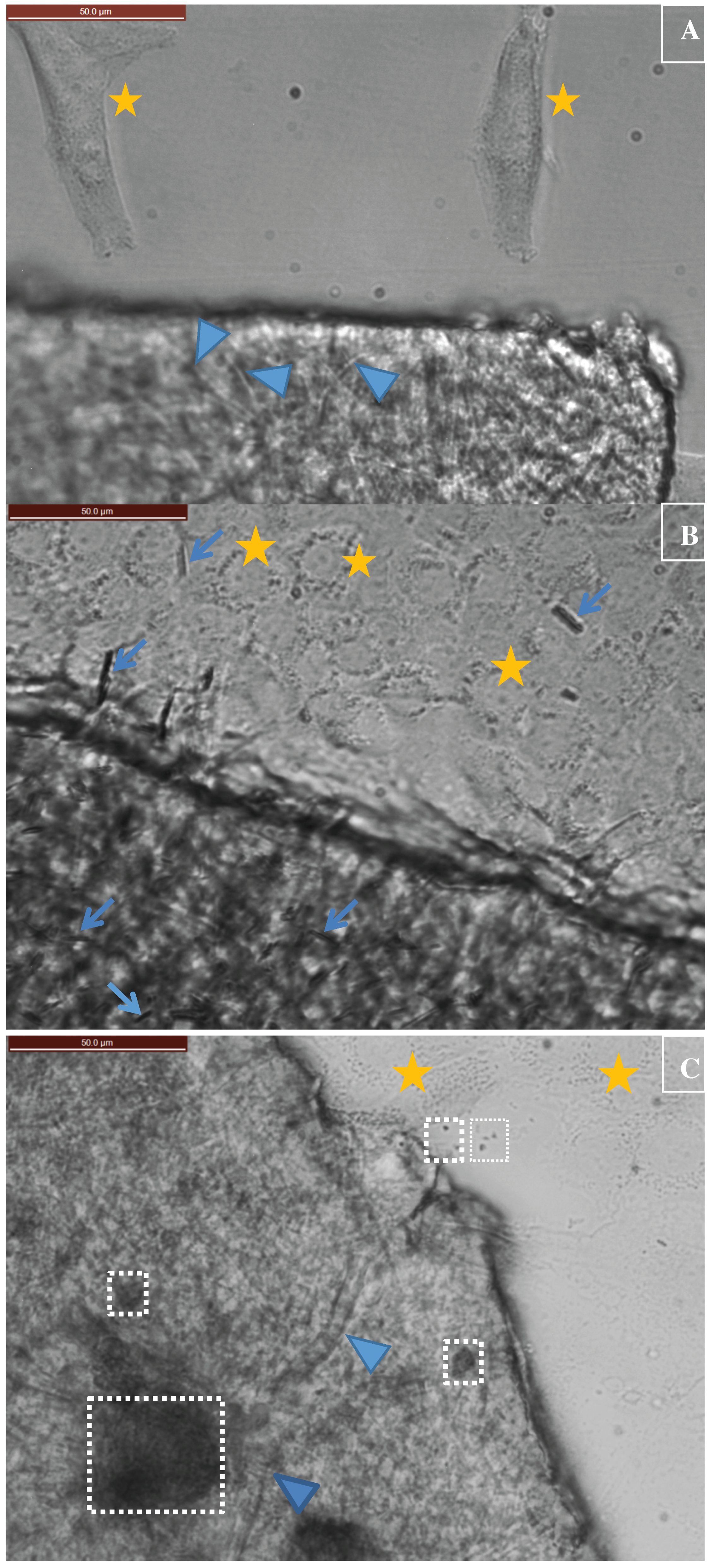 Ijerph 15 00844 g006a