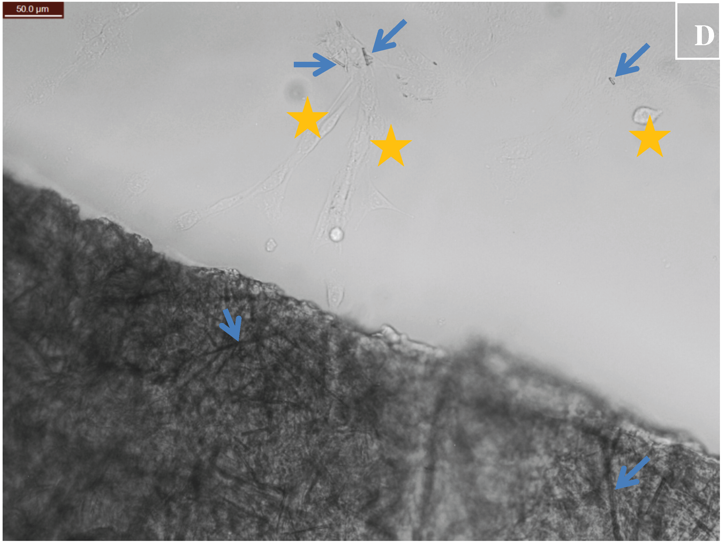 Ijerph 15 00844 g006b