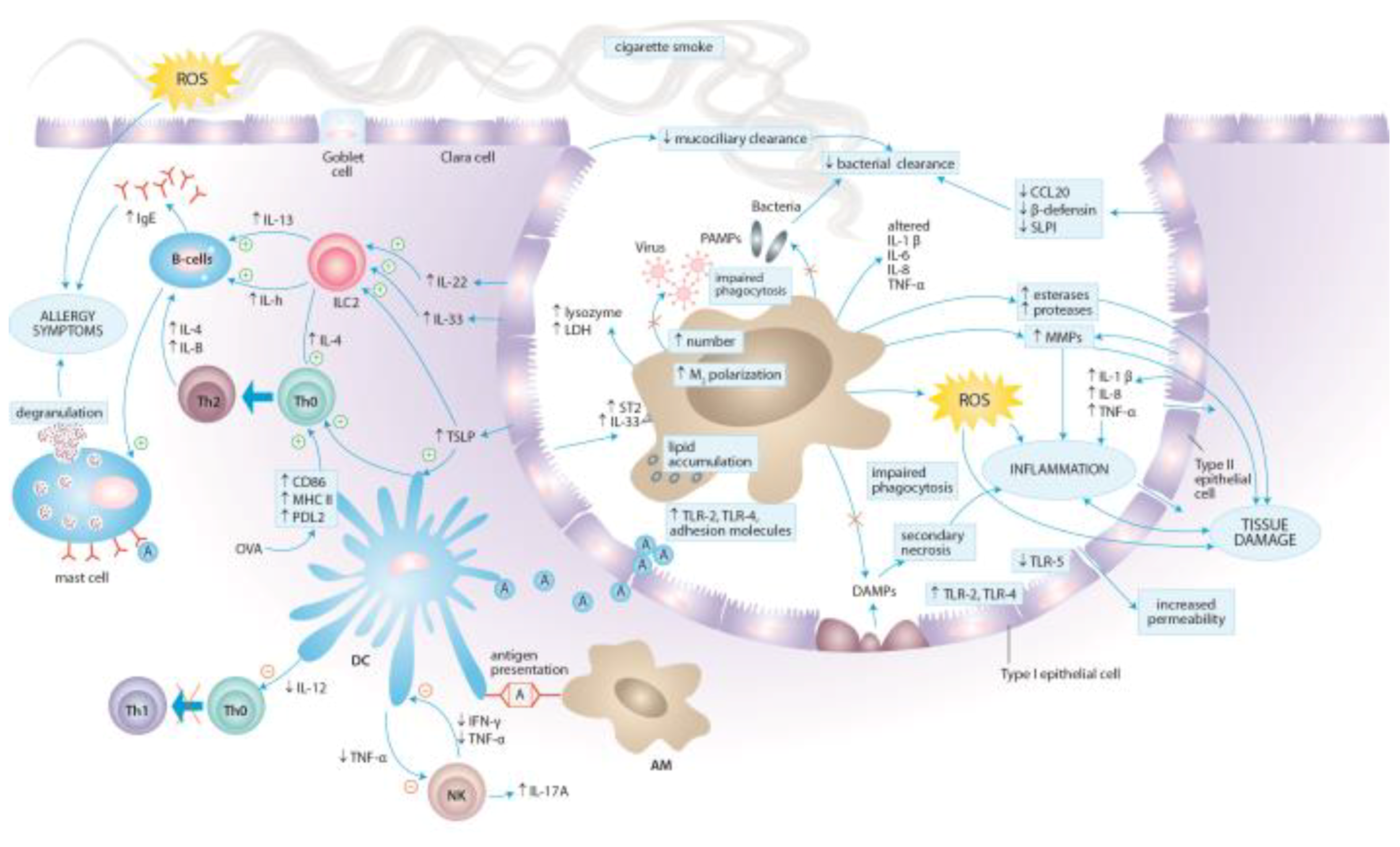 Ijerph 15 01033 g003
