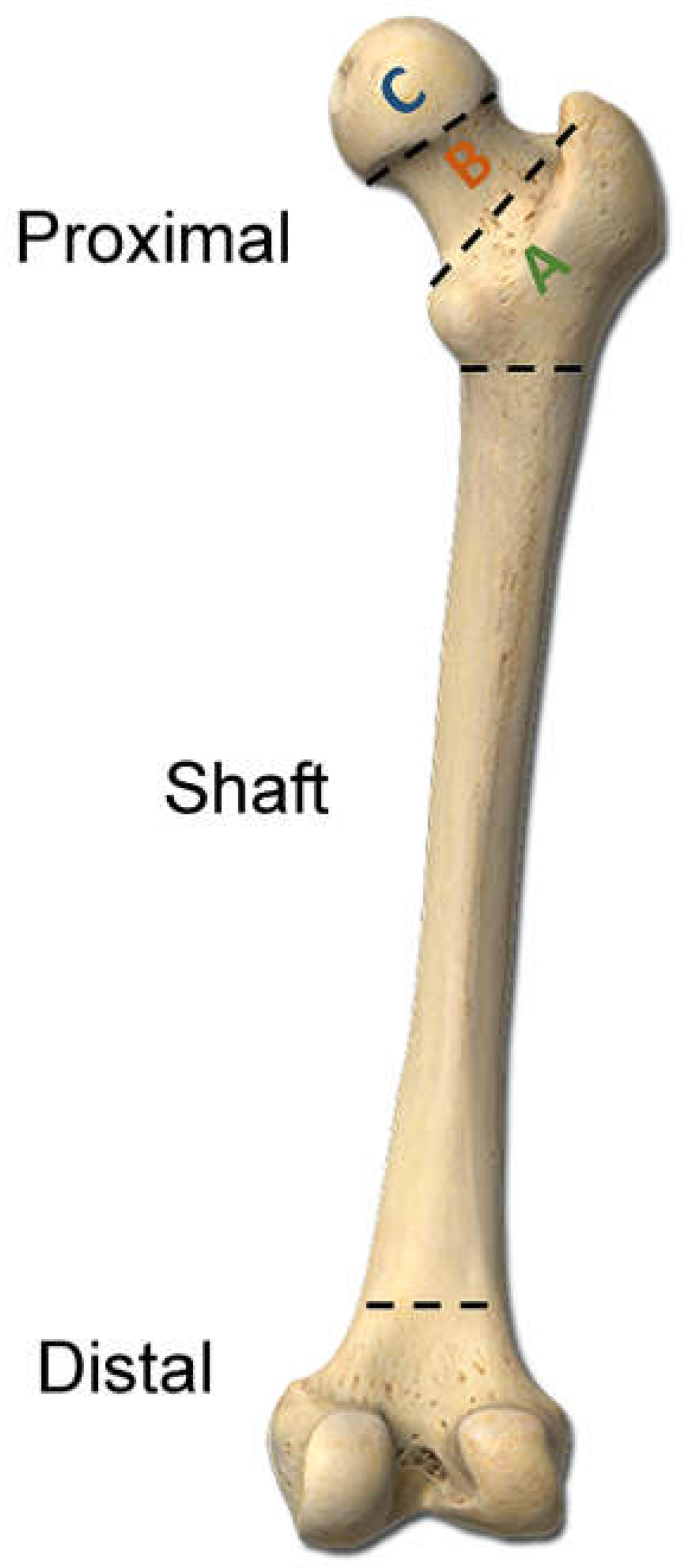 Ijerph 15 01082 g002