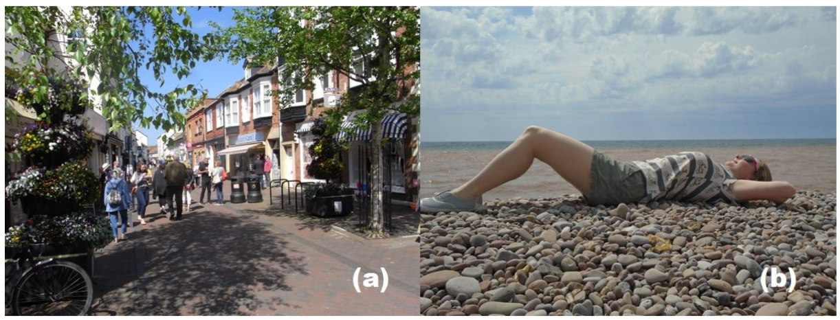 Ijerph 15 01112 g003