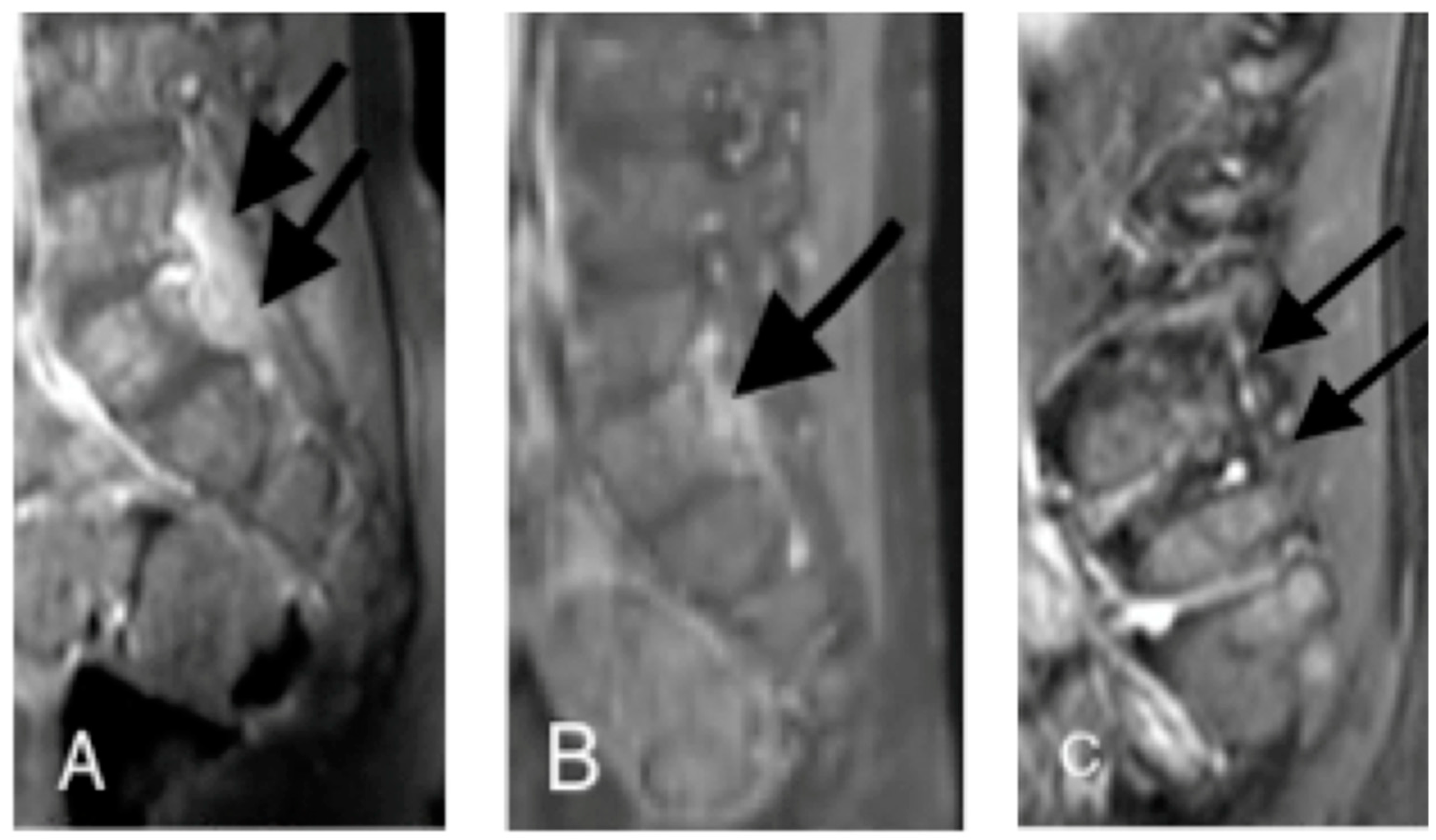 Ijerph 15 01195 g001