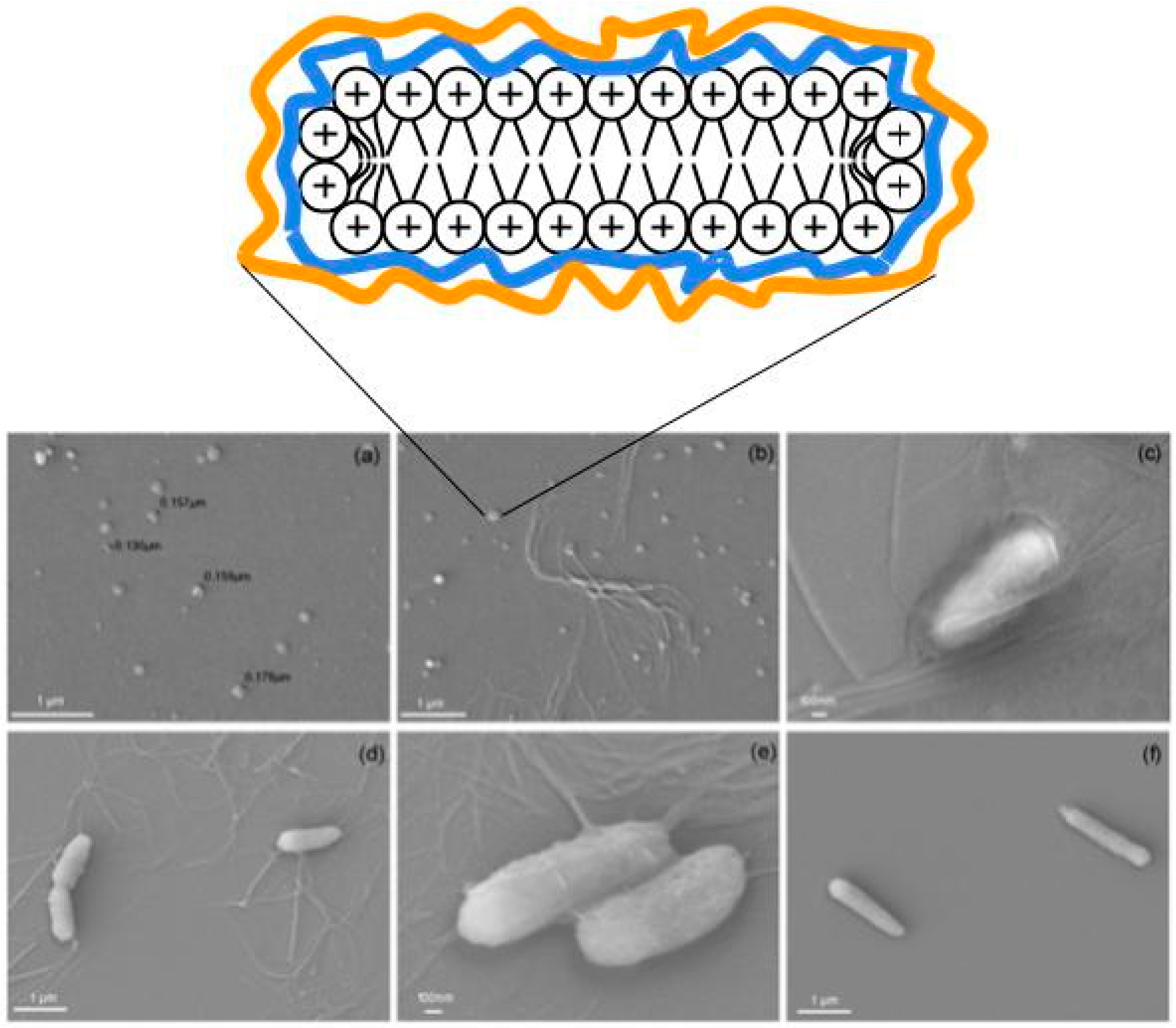 Ijerph 15 01408 g001