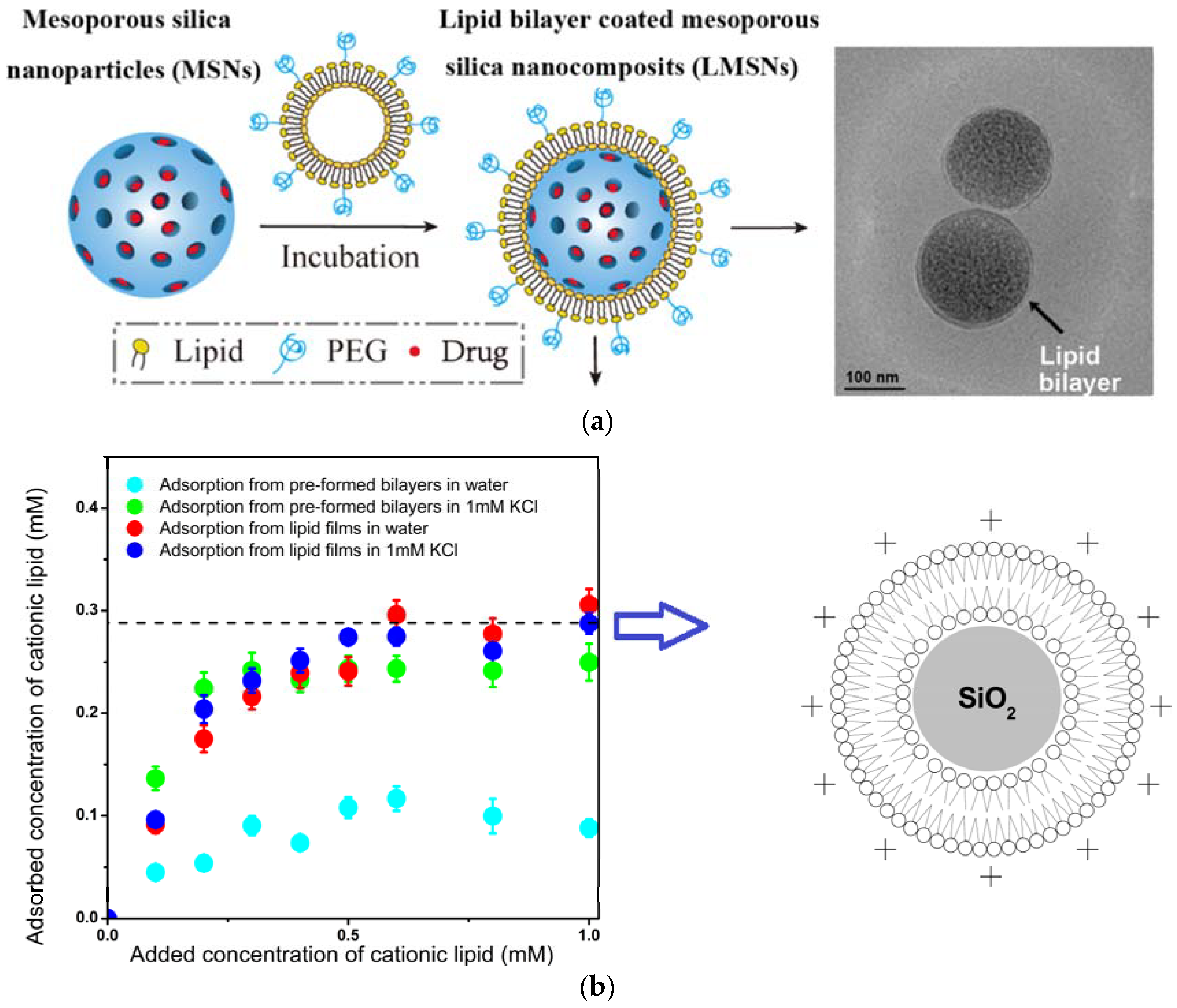 Ijerph 15 01408 g004