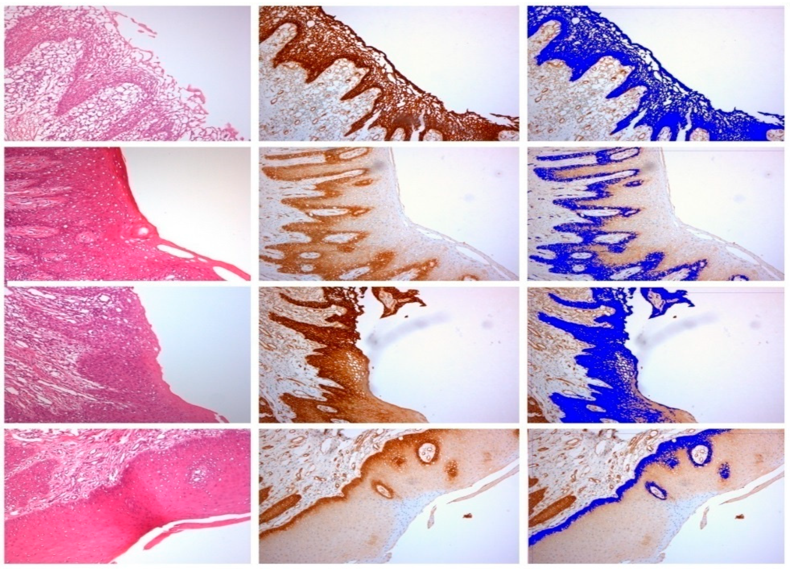 Ijerph 15 01611 g002 Ijerph 15 01611 g002