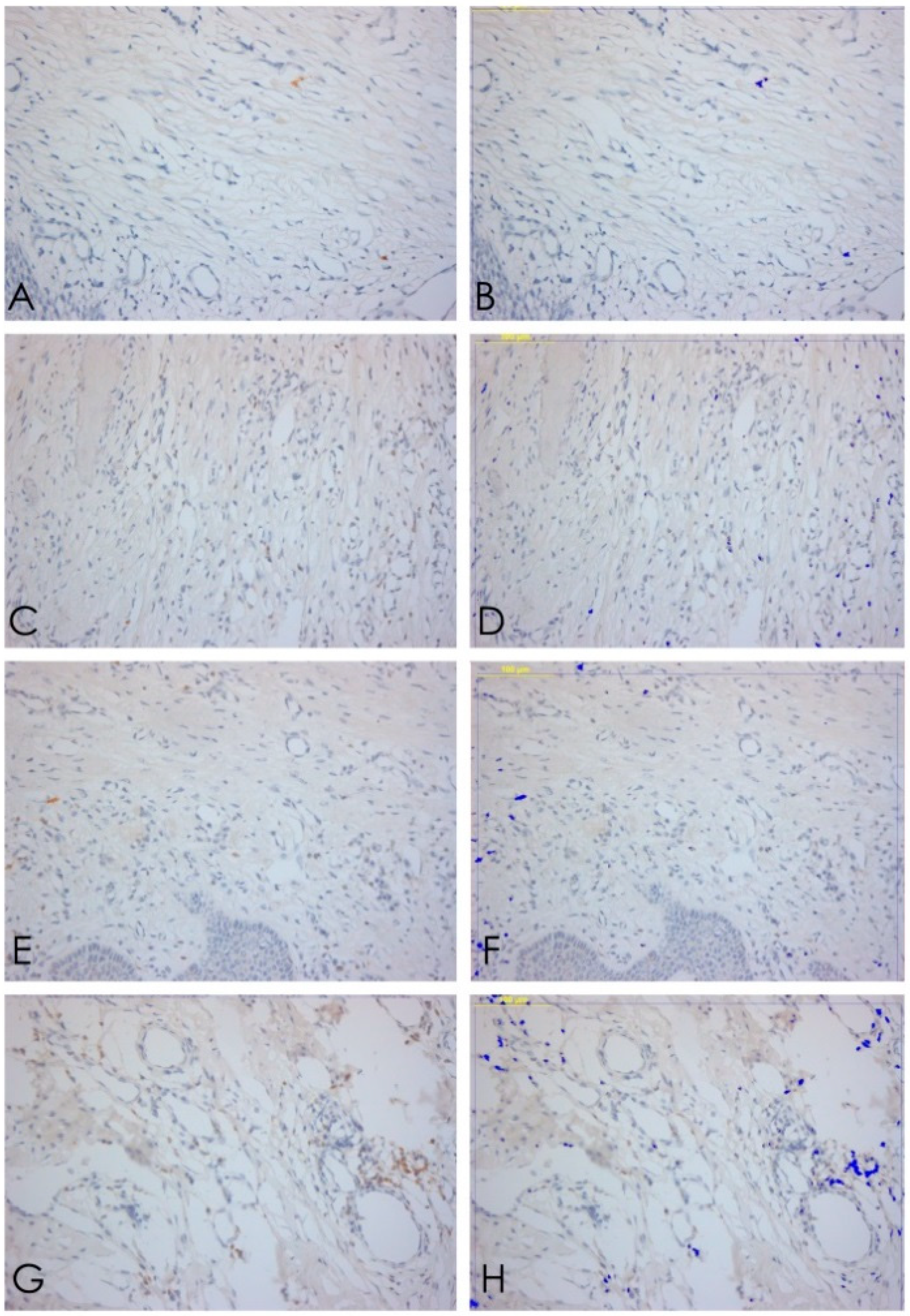 Ijerph 15 01611 g004 Ijerph 15 01611 g004