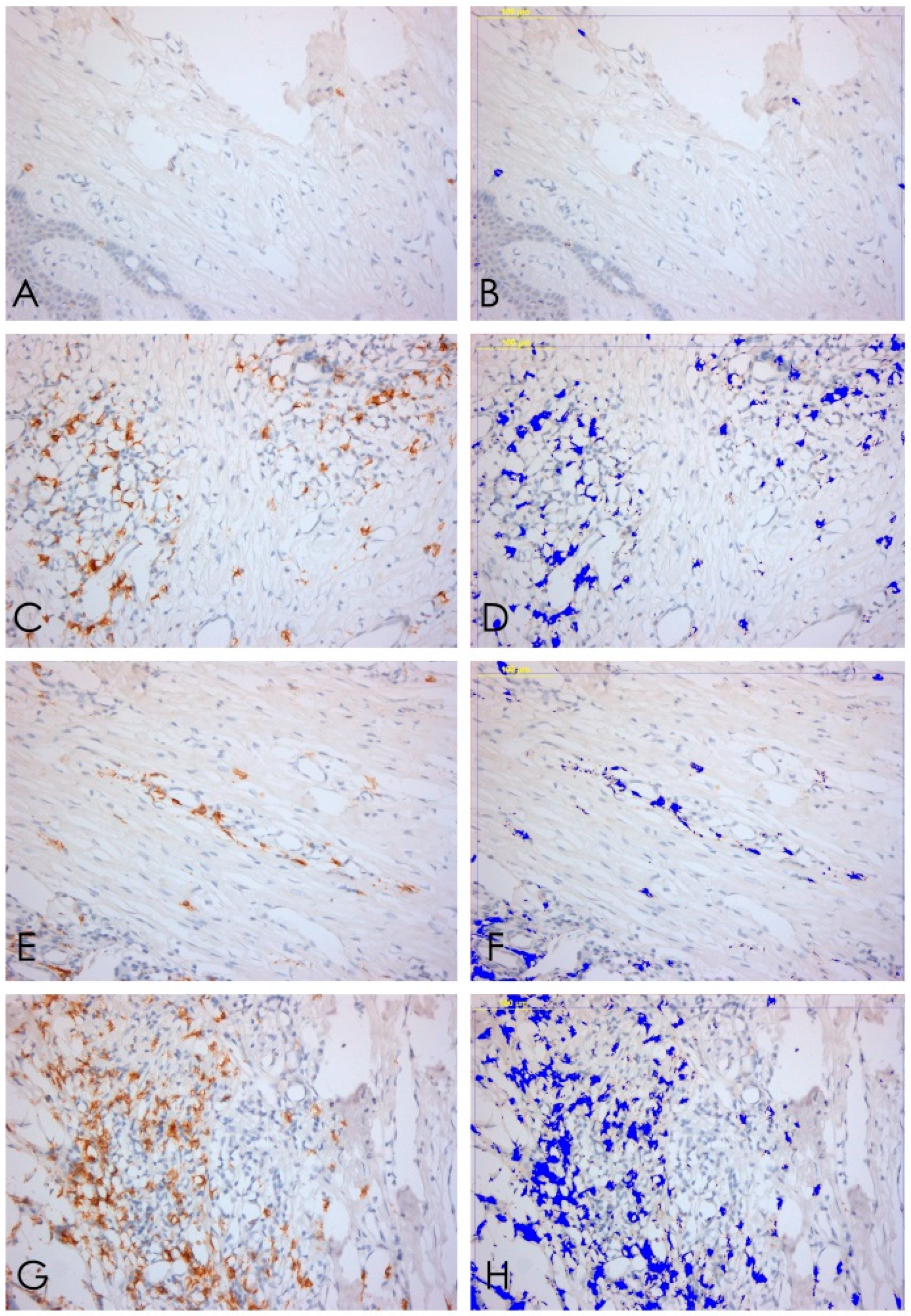 Ijerph 15 01611 g005 Ijerph 15 01611 g005