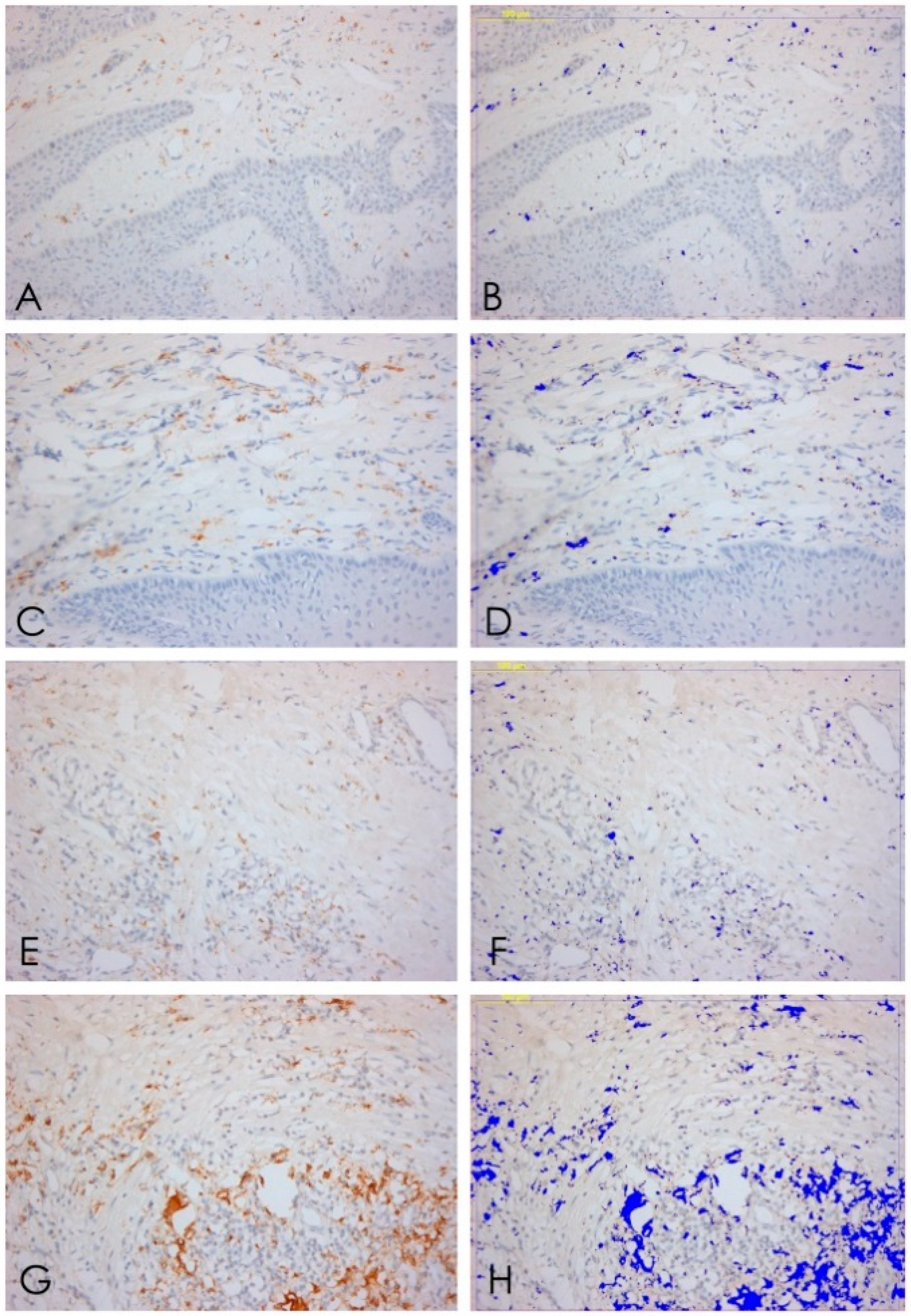 Ijerph 15 01611 g006 Ijerph 15 01611 g006