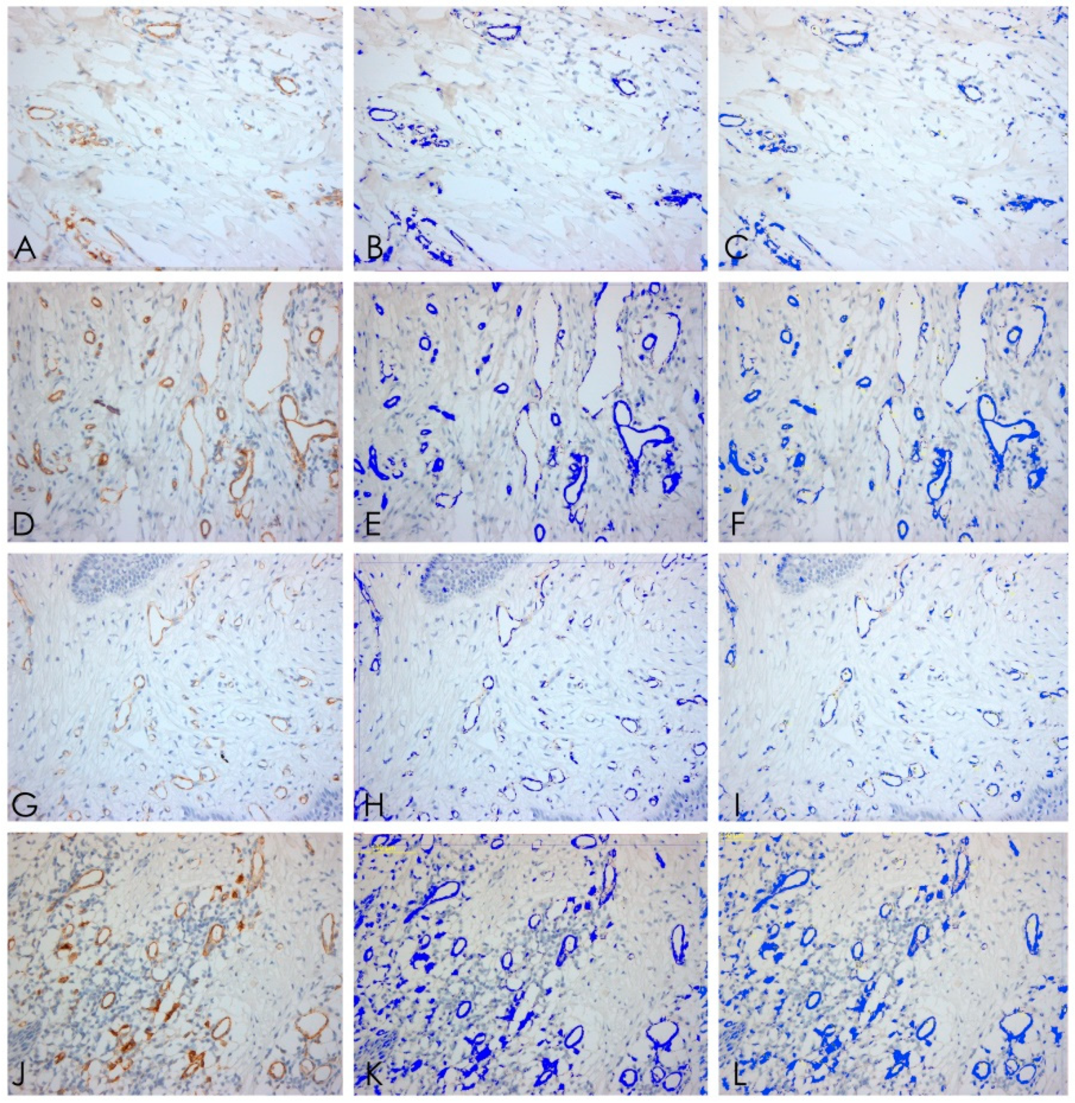 Ijerph 15 01611 g007 Ijerph 15 01611 g007