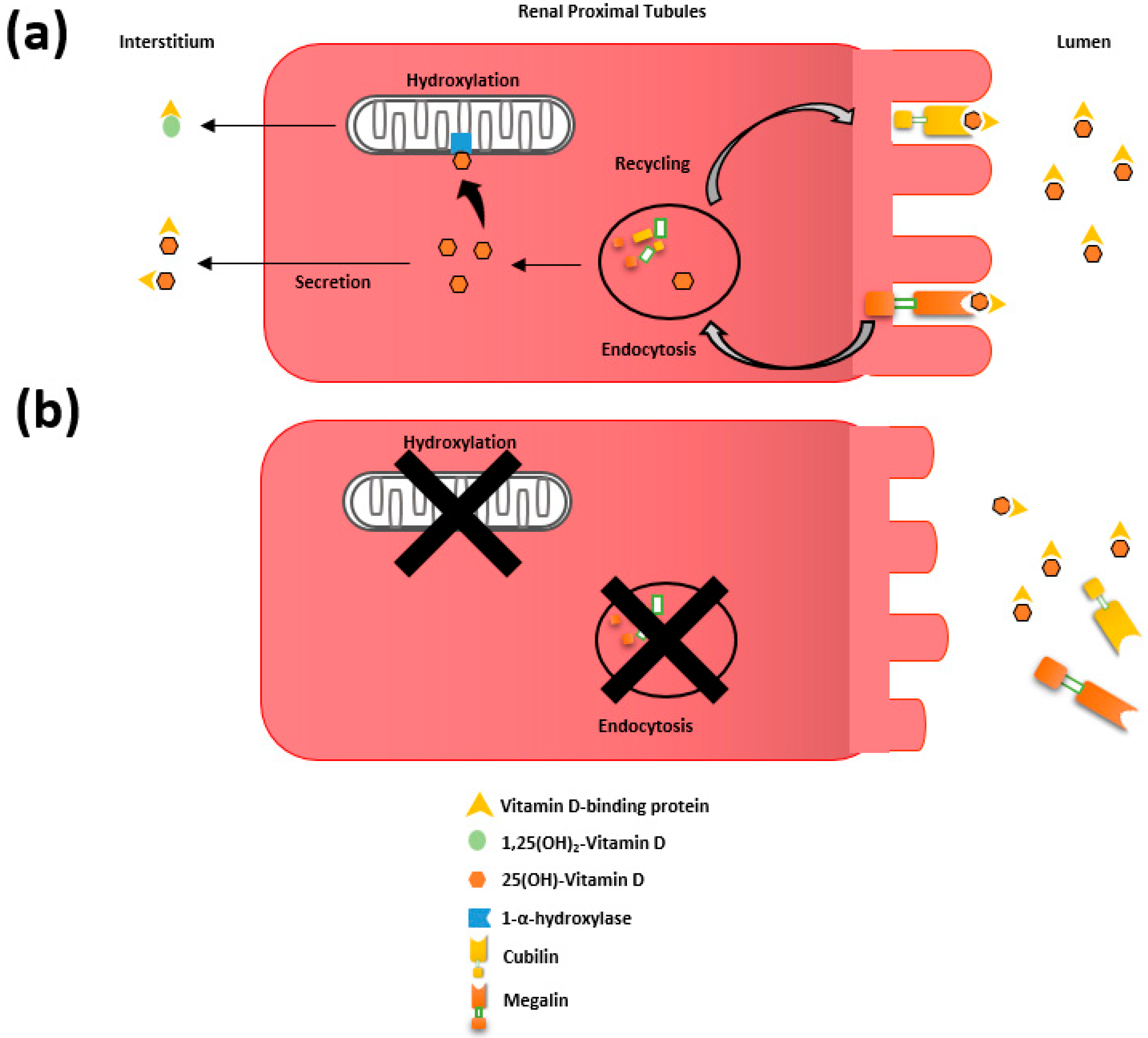 Ijerph 15 01773 g002